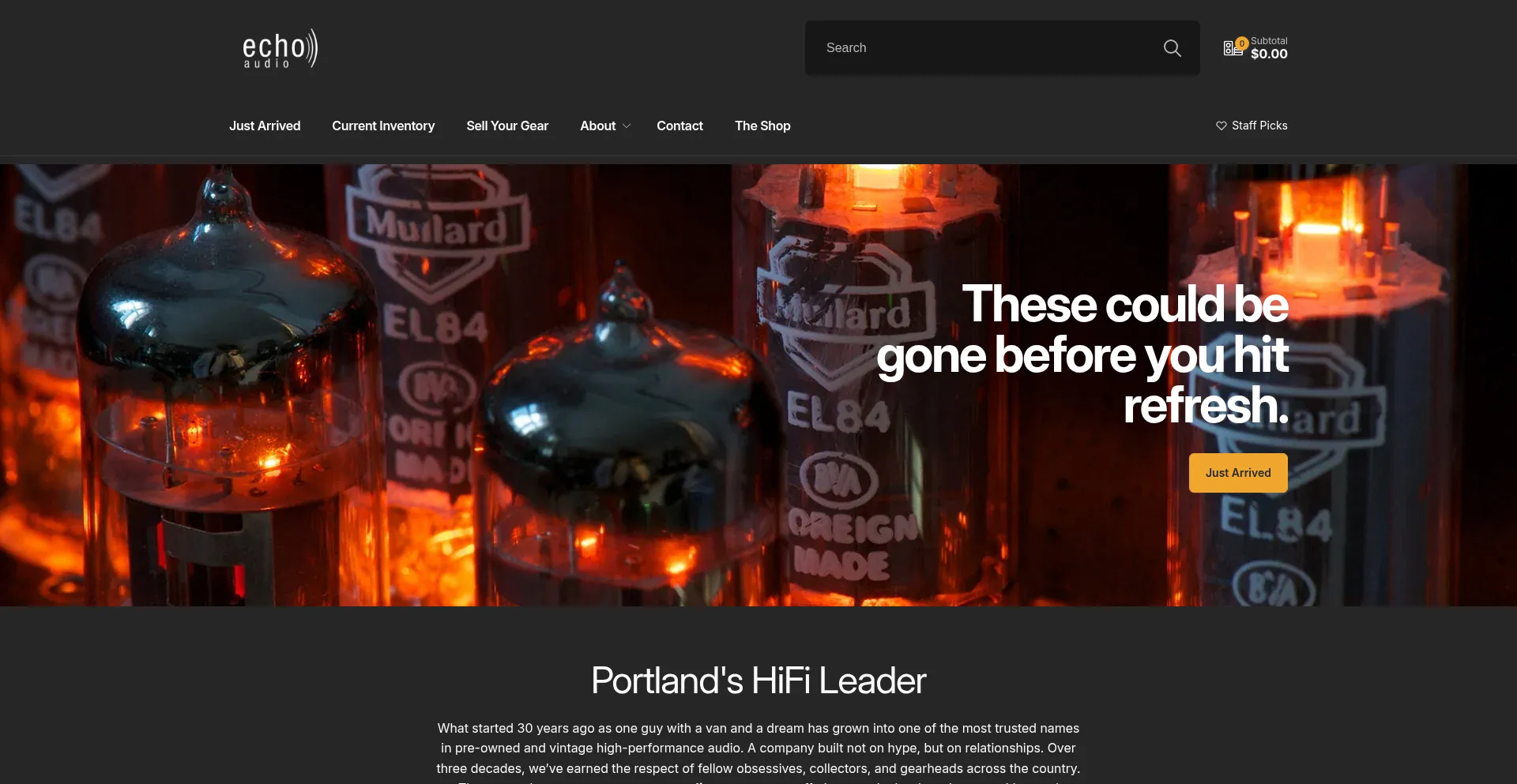 Website screenshot of Echohifi.com