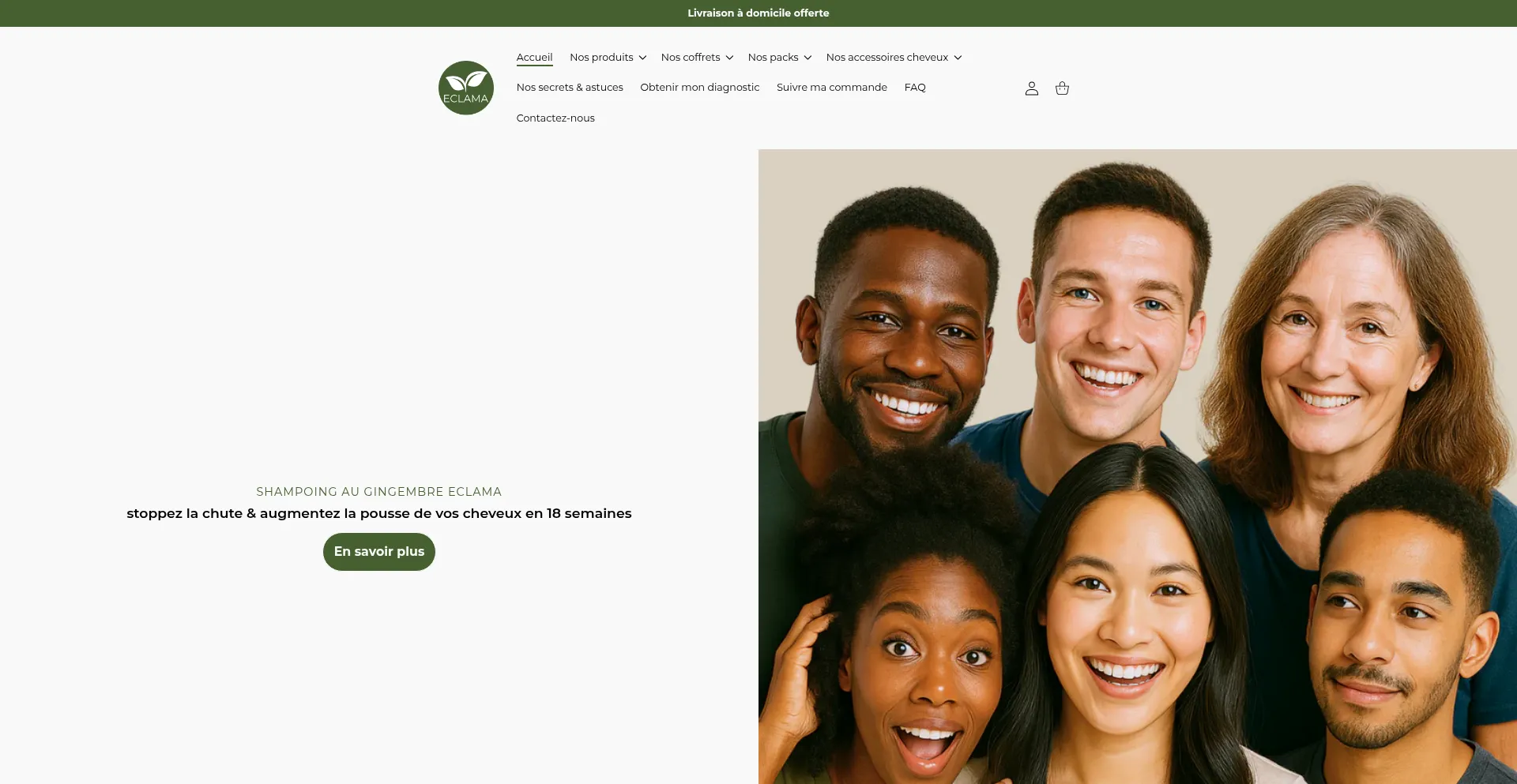 Website screenshot of Eclama.com