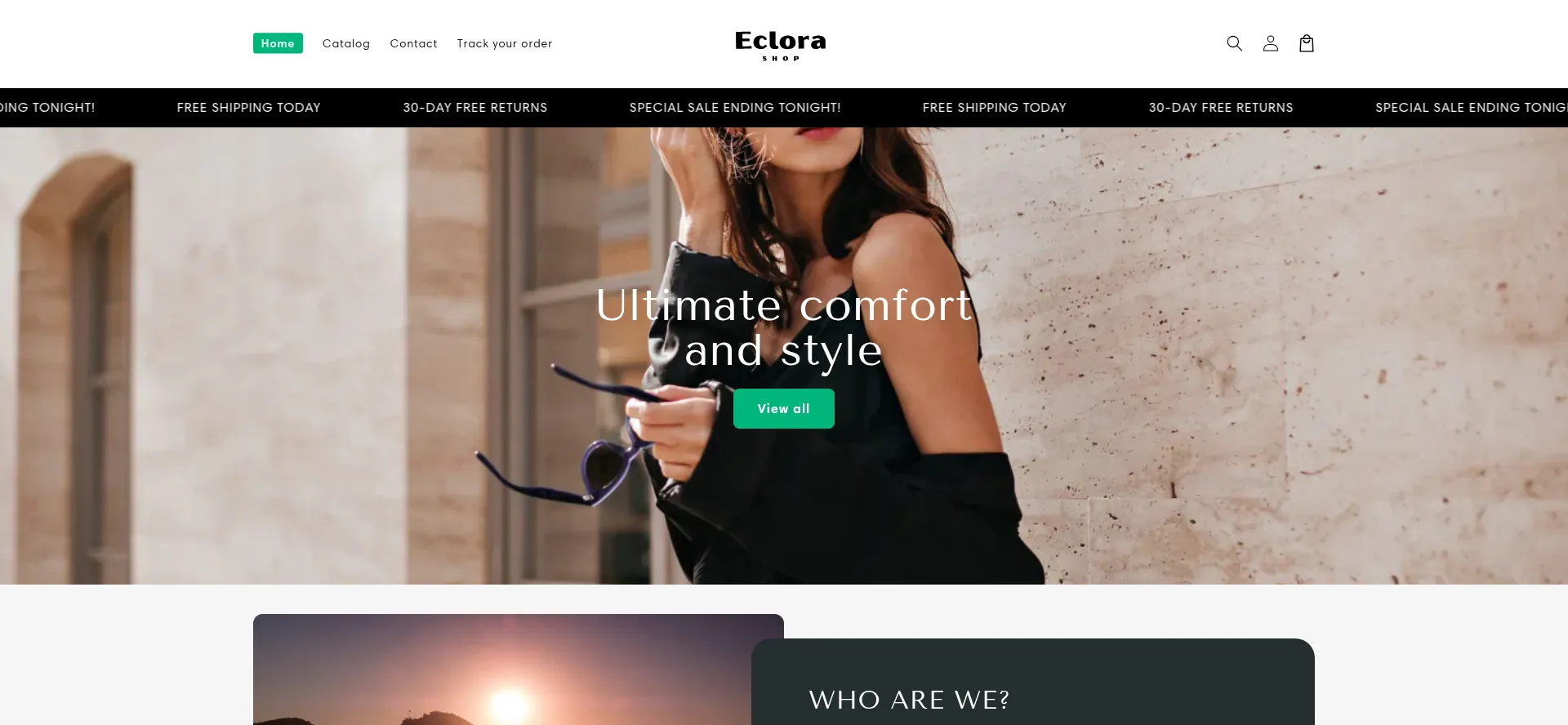 Website screenshot of Eclorauk.shop