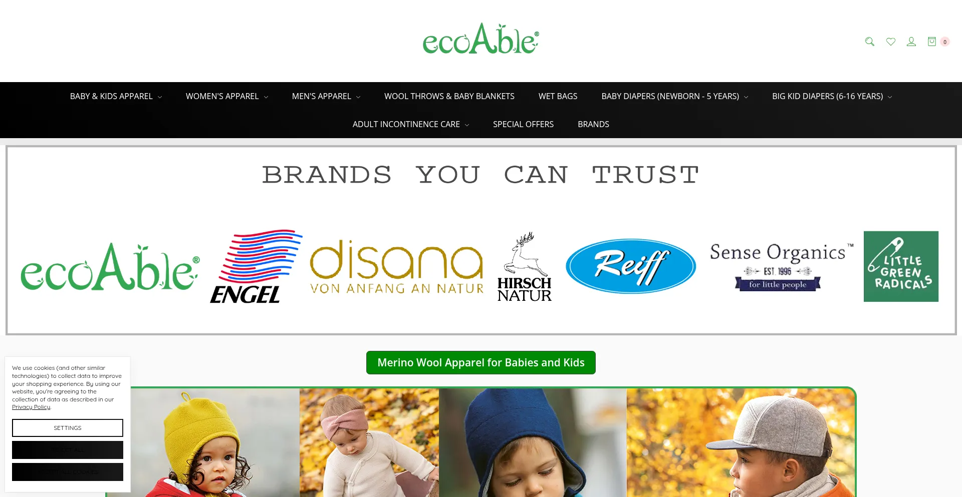 Website screenshot of Ecoable.net