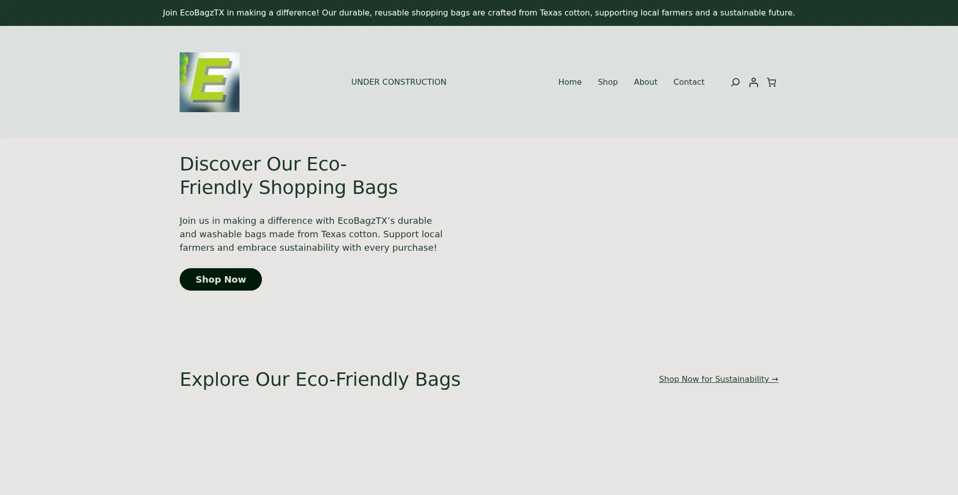 Ecobagztx.com