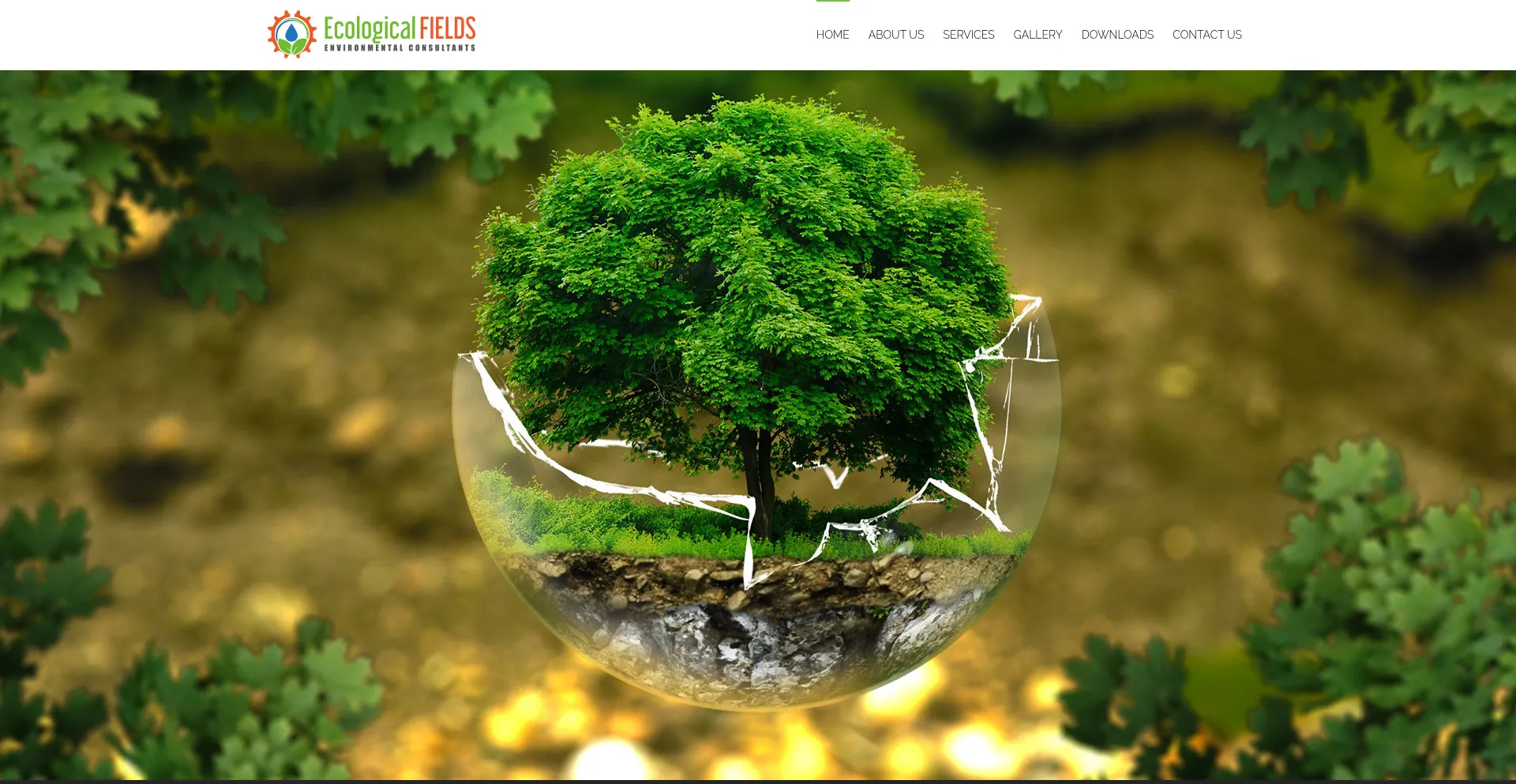 Is Ecologicalfields.co.za Safe?