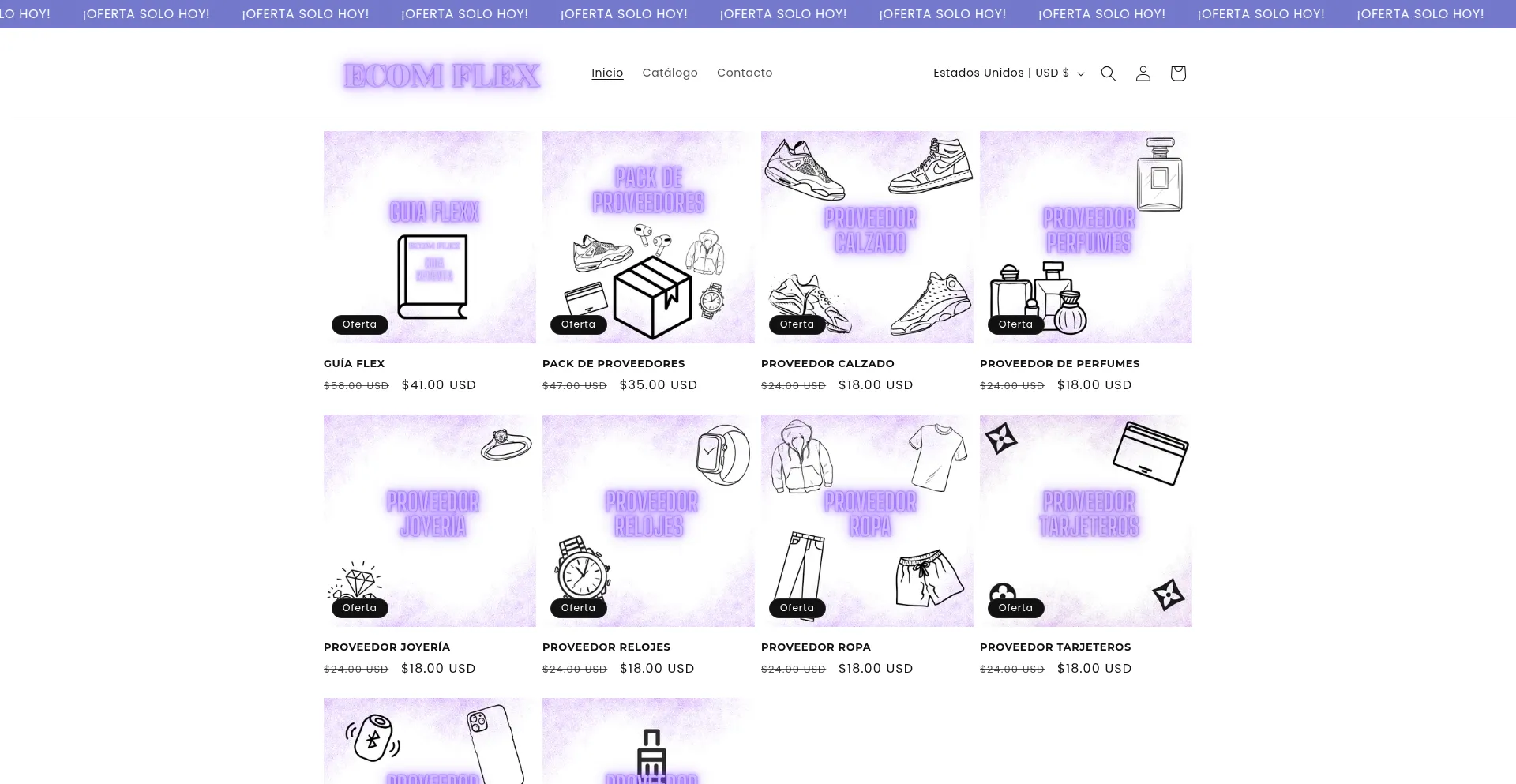 Website screenshot of Ecomflexx.com