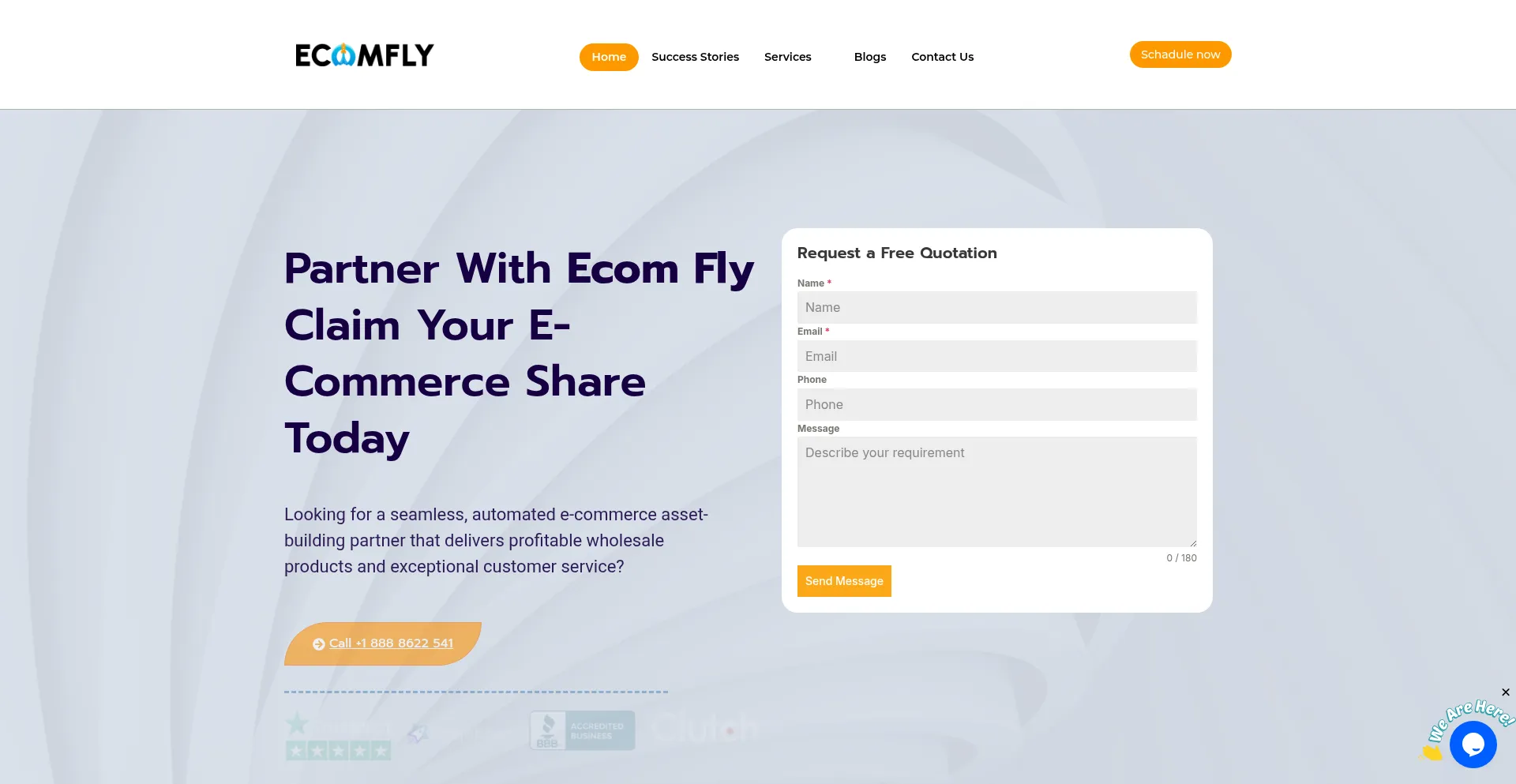 Website screenshot of Ecomfly.net