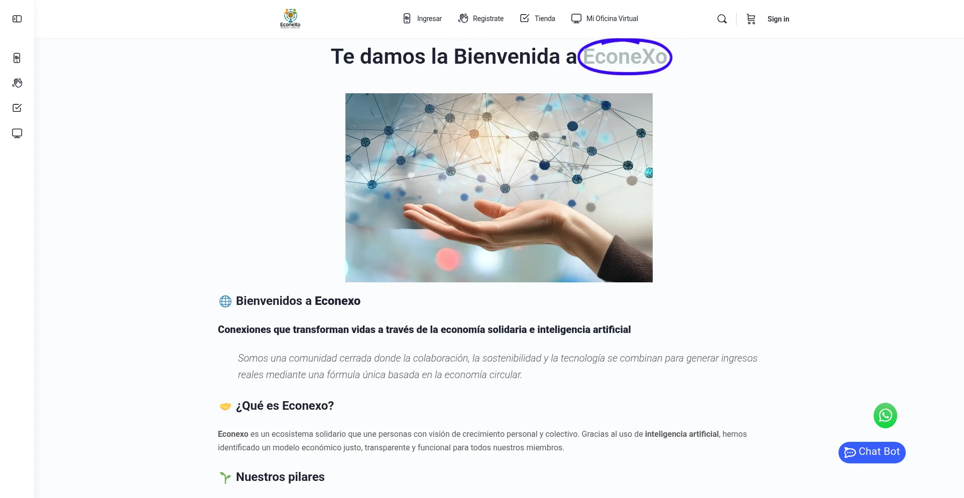 Website screenshot of Econexo.com.co
