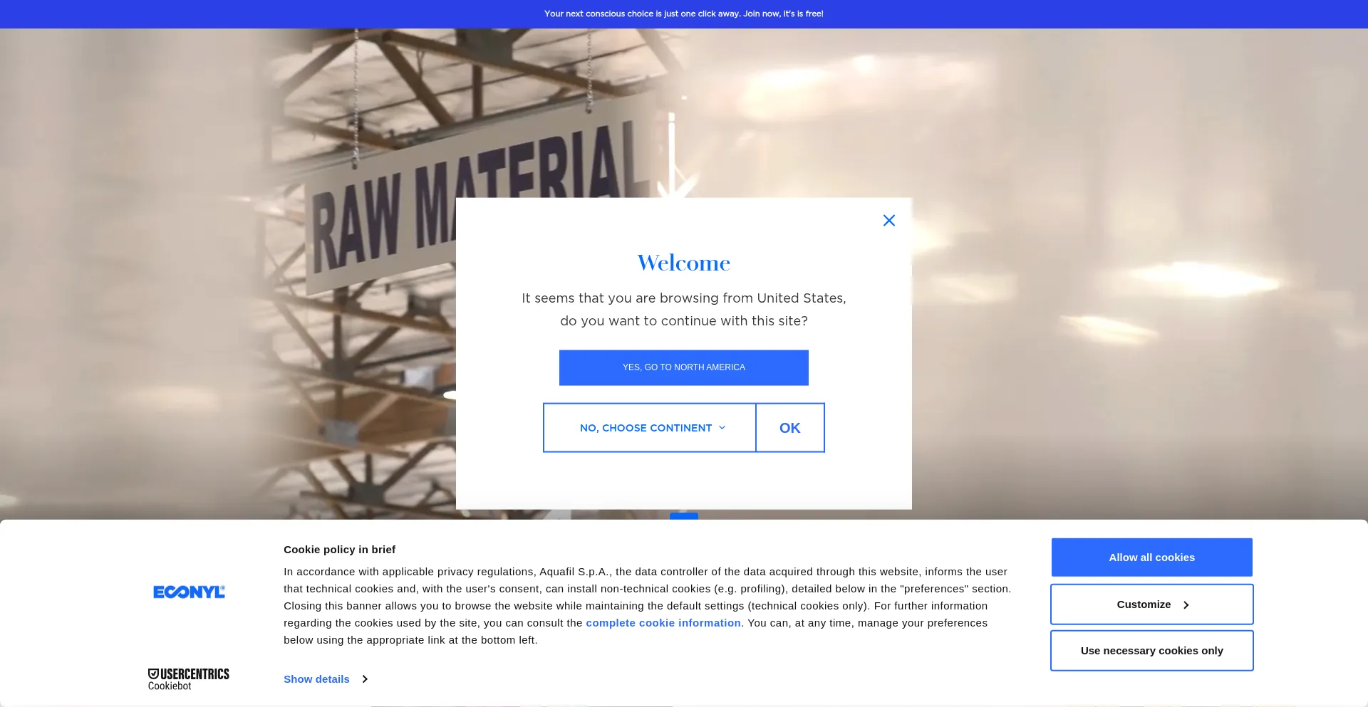 Website screenshot of Econyl.com