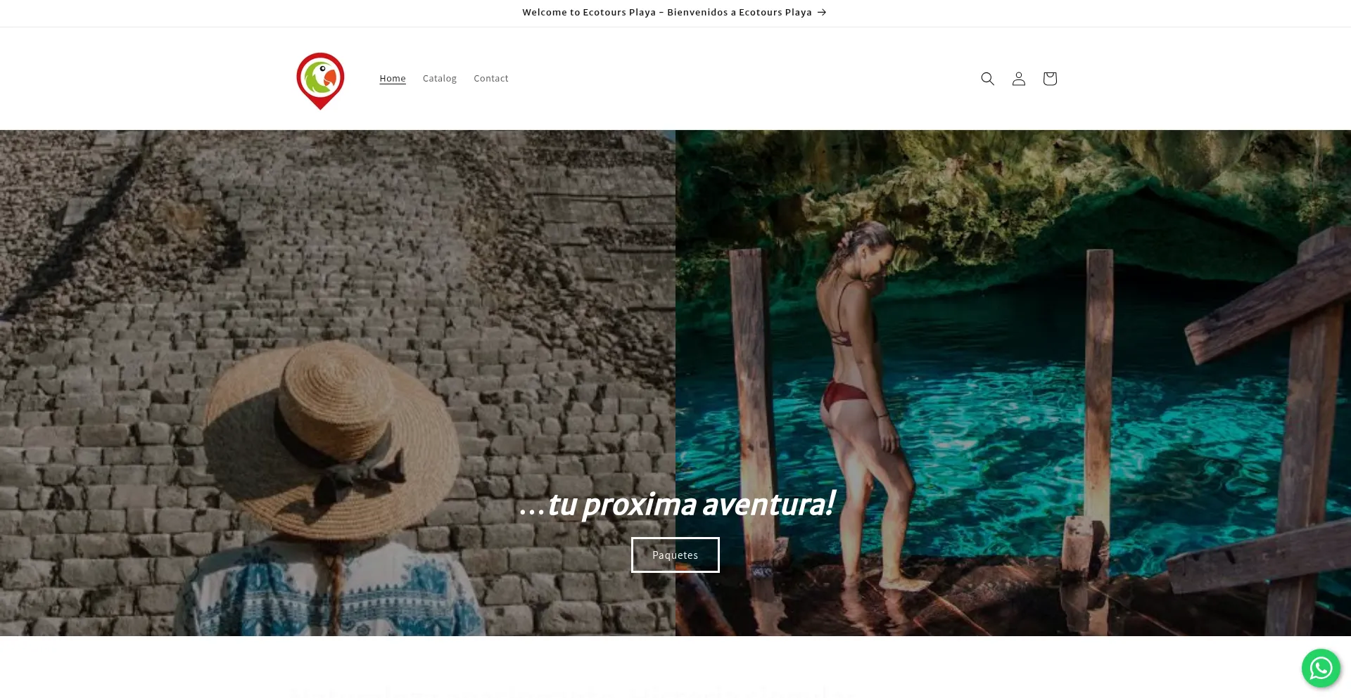Website screenshot of Ecotoursplaya.com