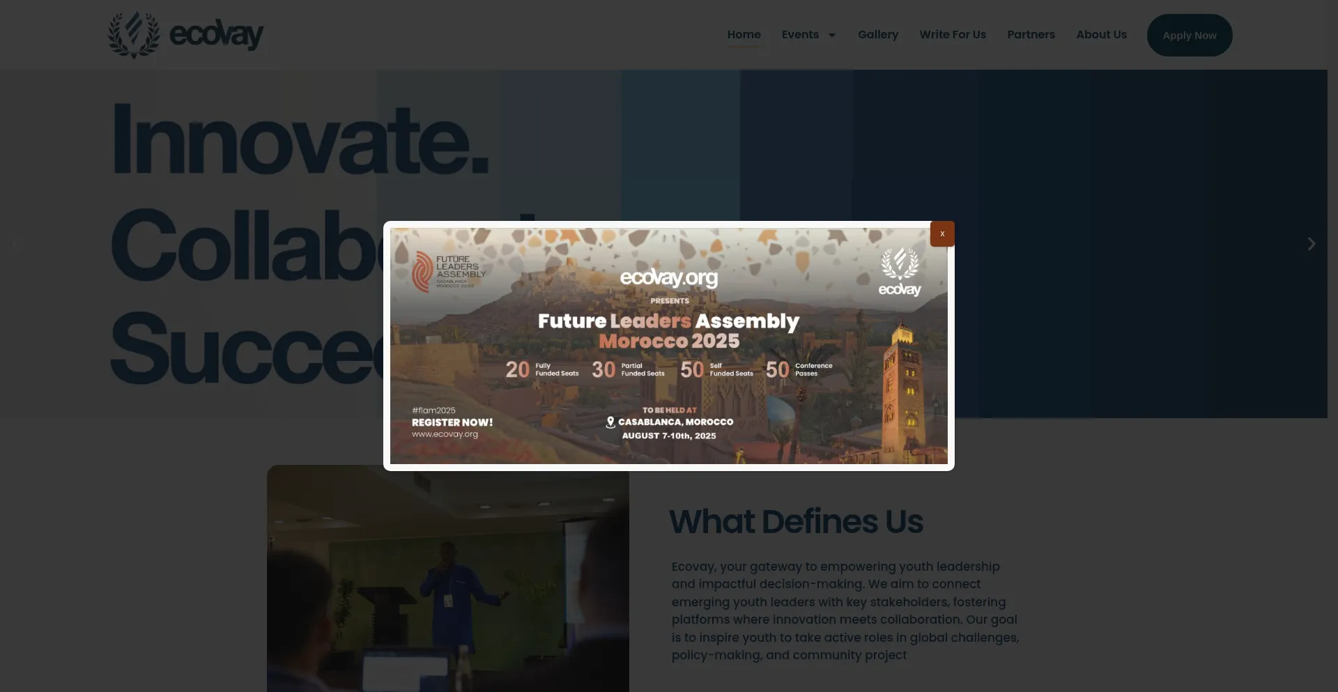 Website screenshot of Ecovay.org