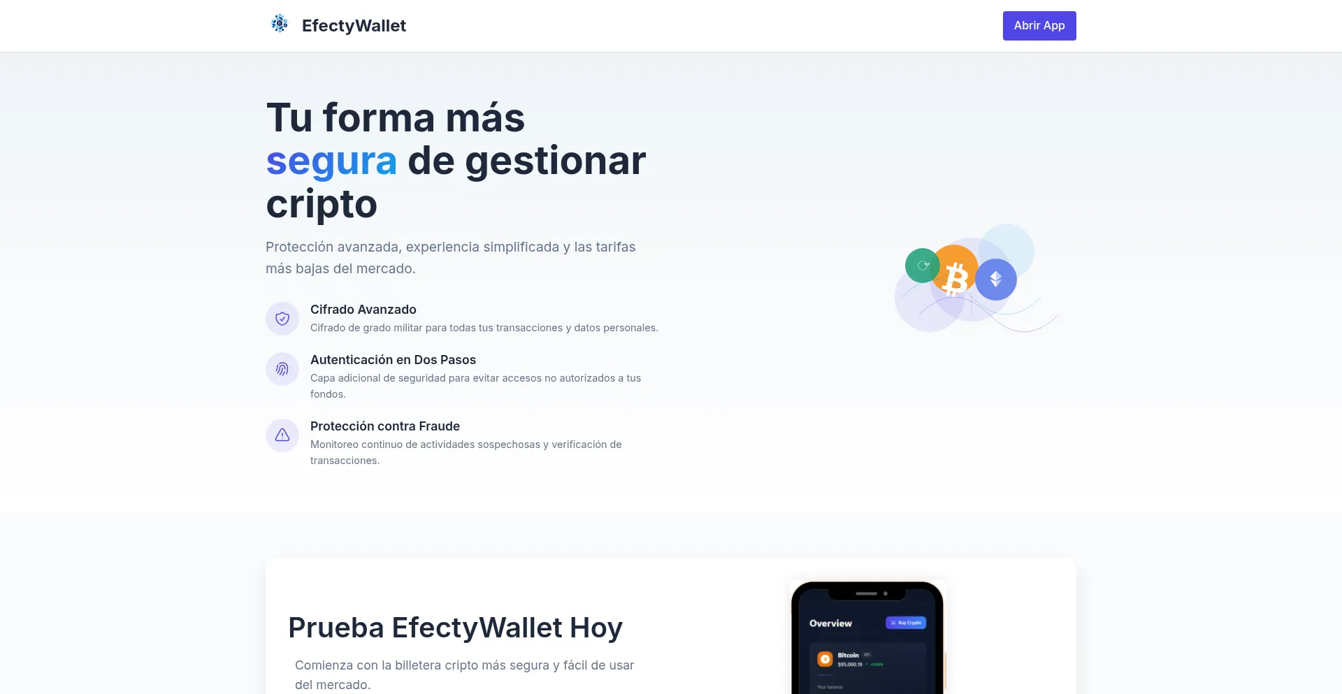 Website screenshot of Efectywallet.com