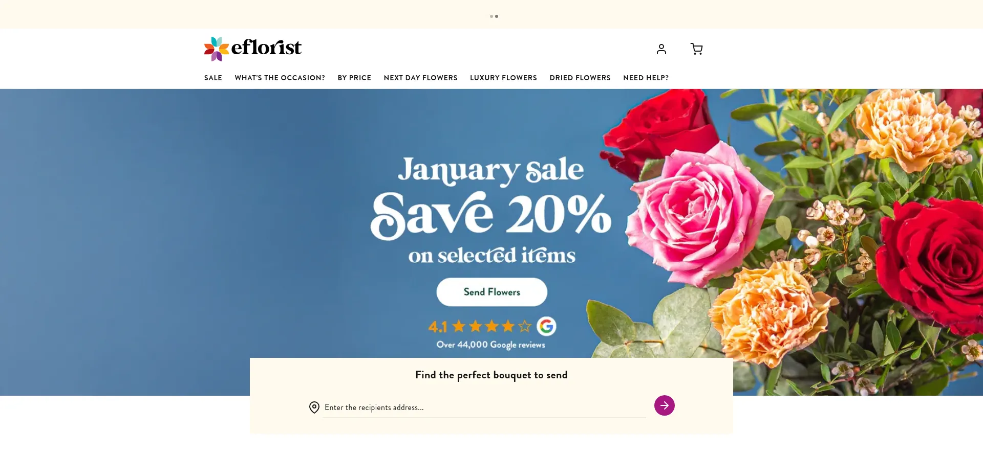 Website screenshot of Eflorist.ie