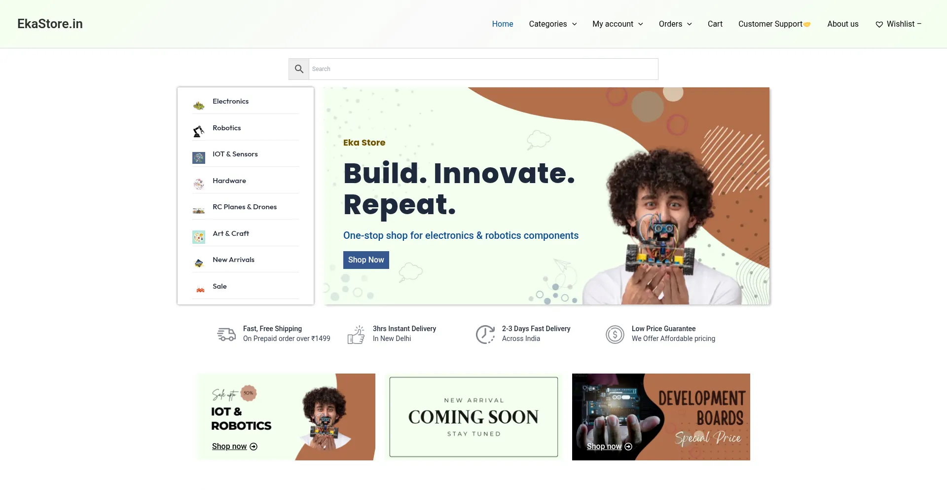 Website screenshot of Ekastore.in