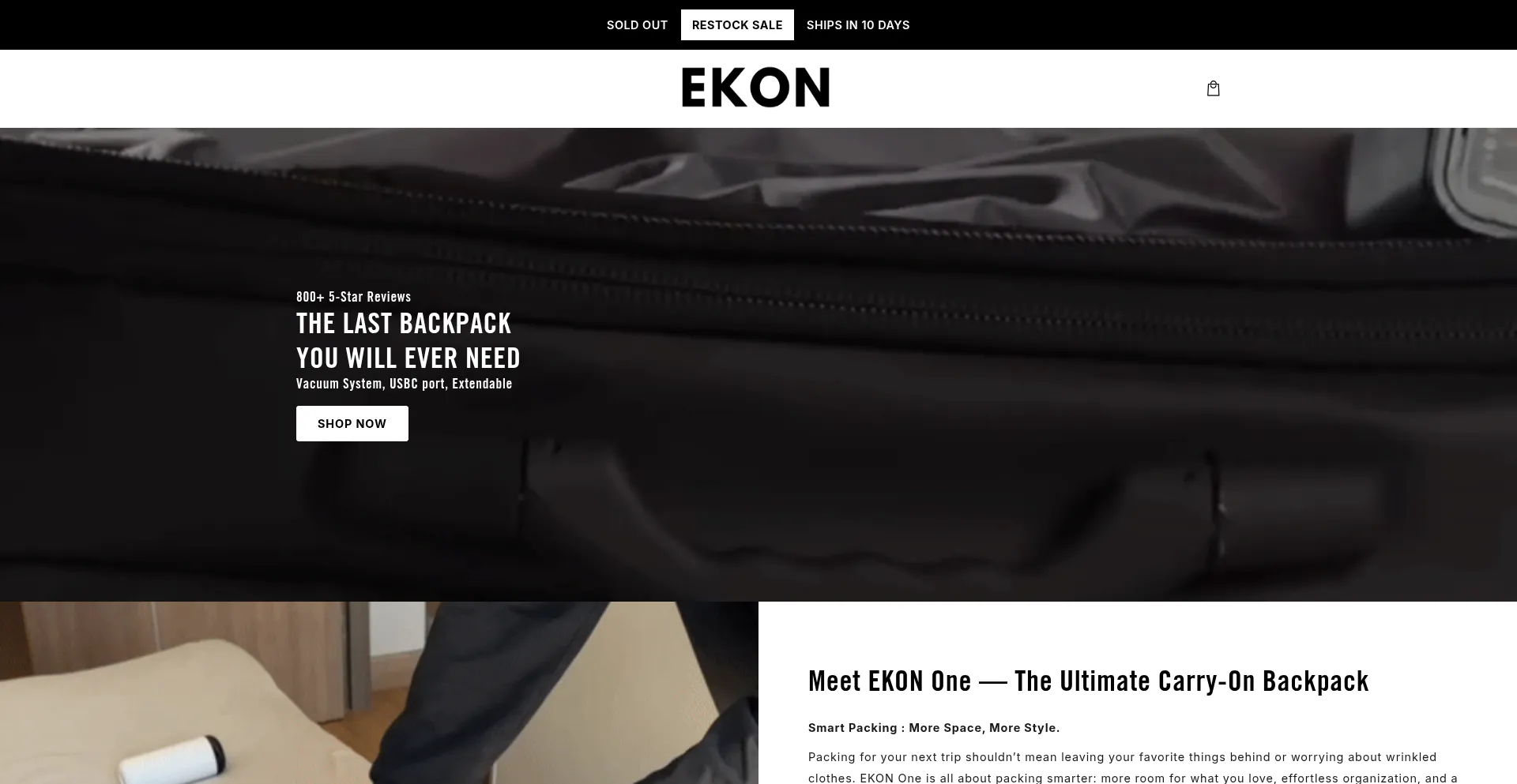 Website screenshot of Ekontravel.com