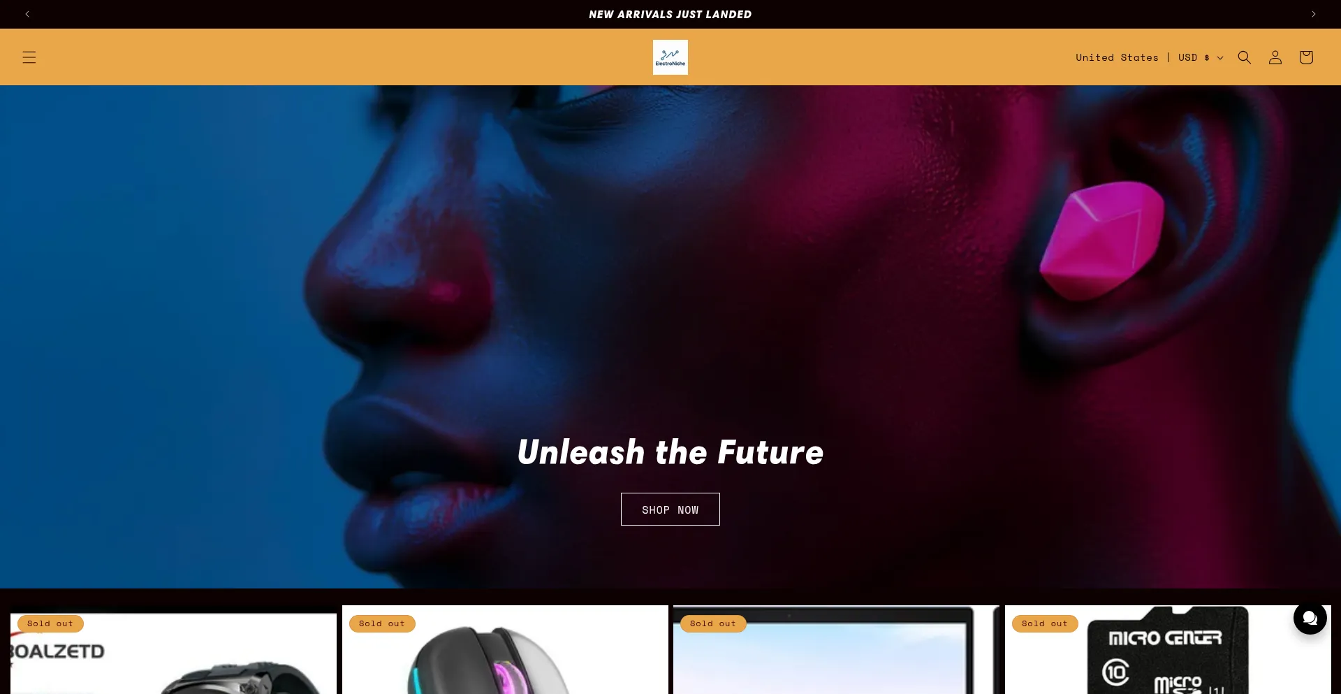 Website screenshot of Electro-niche-llc.store