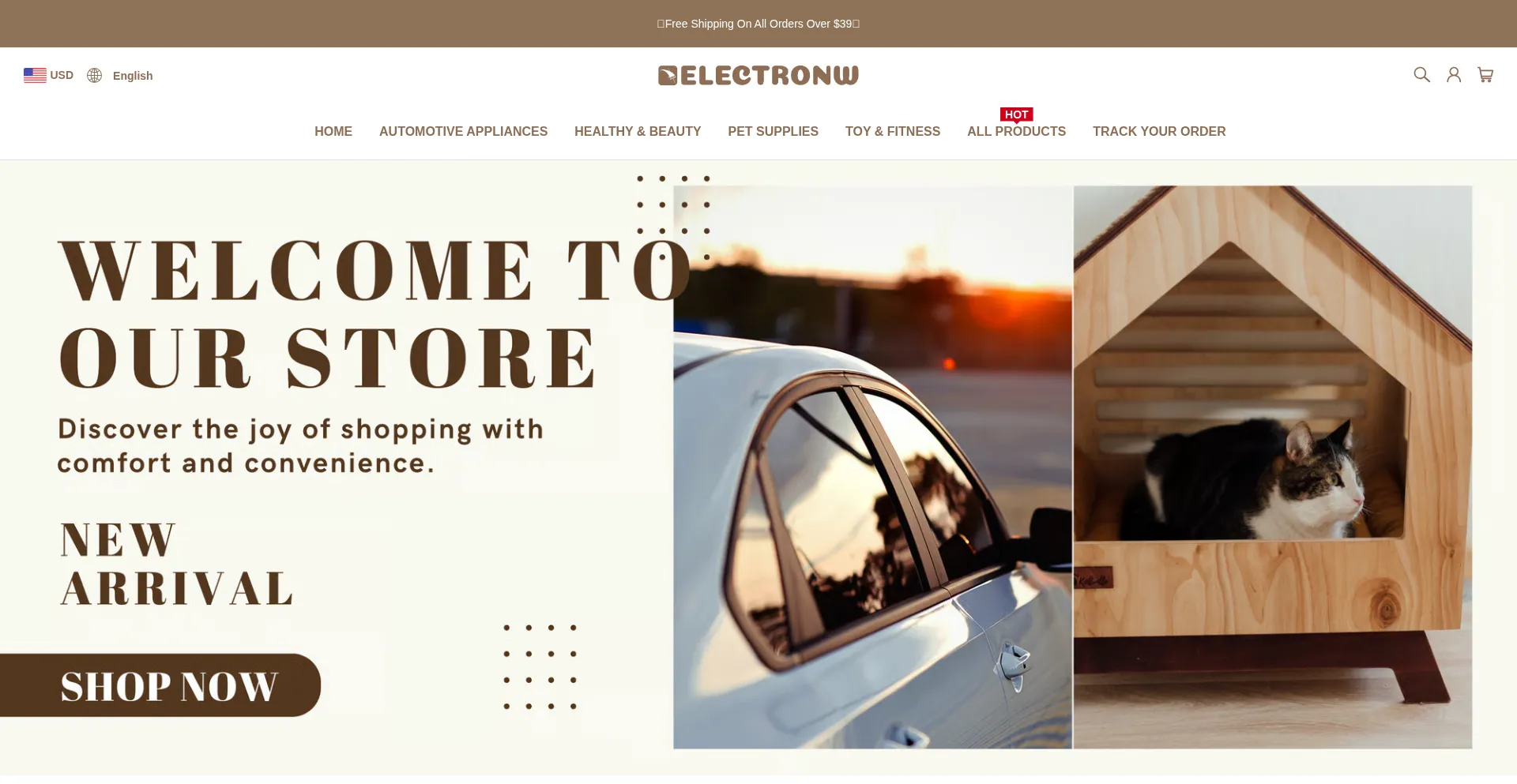 Website screenshot of Electronw.com