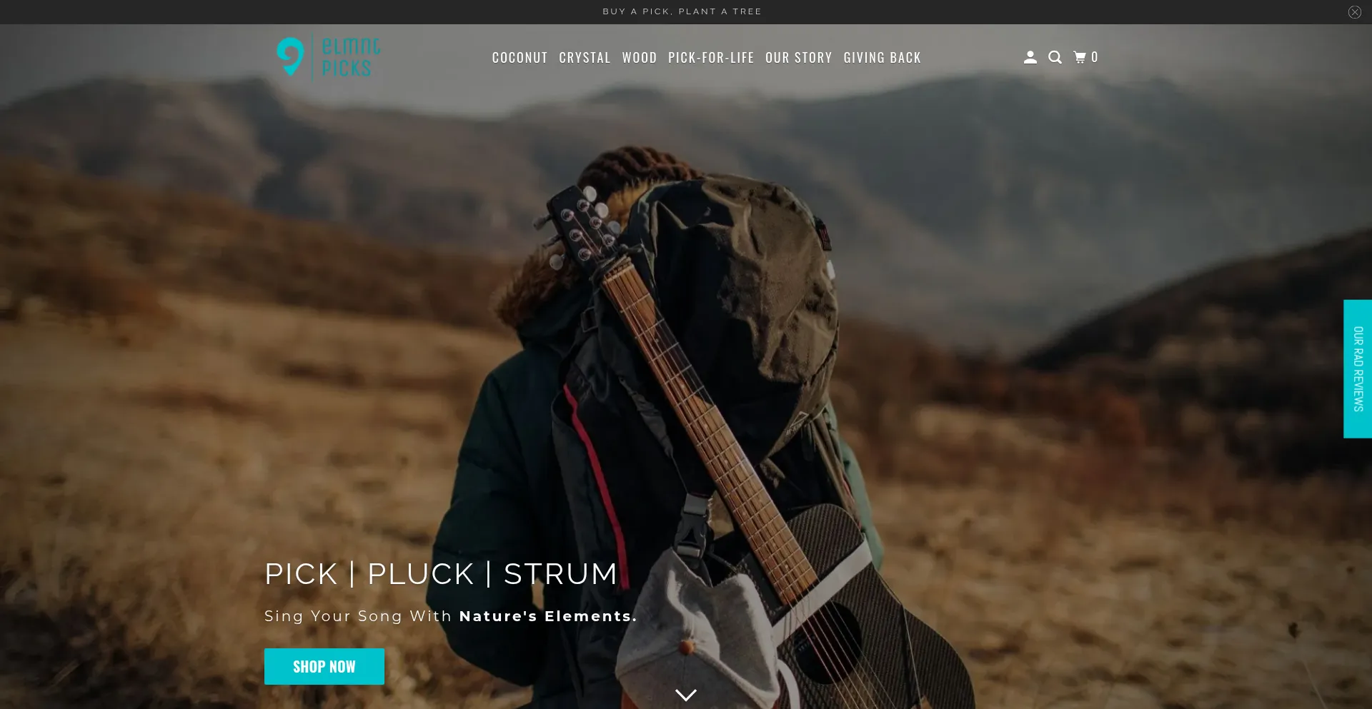 Is Elmntpicks.com Safe?