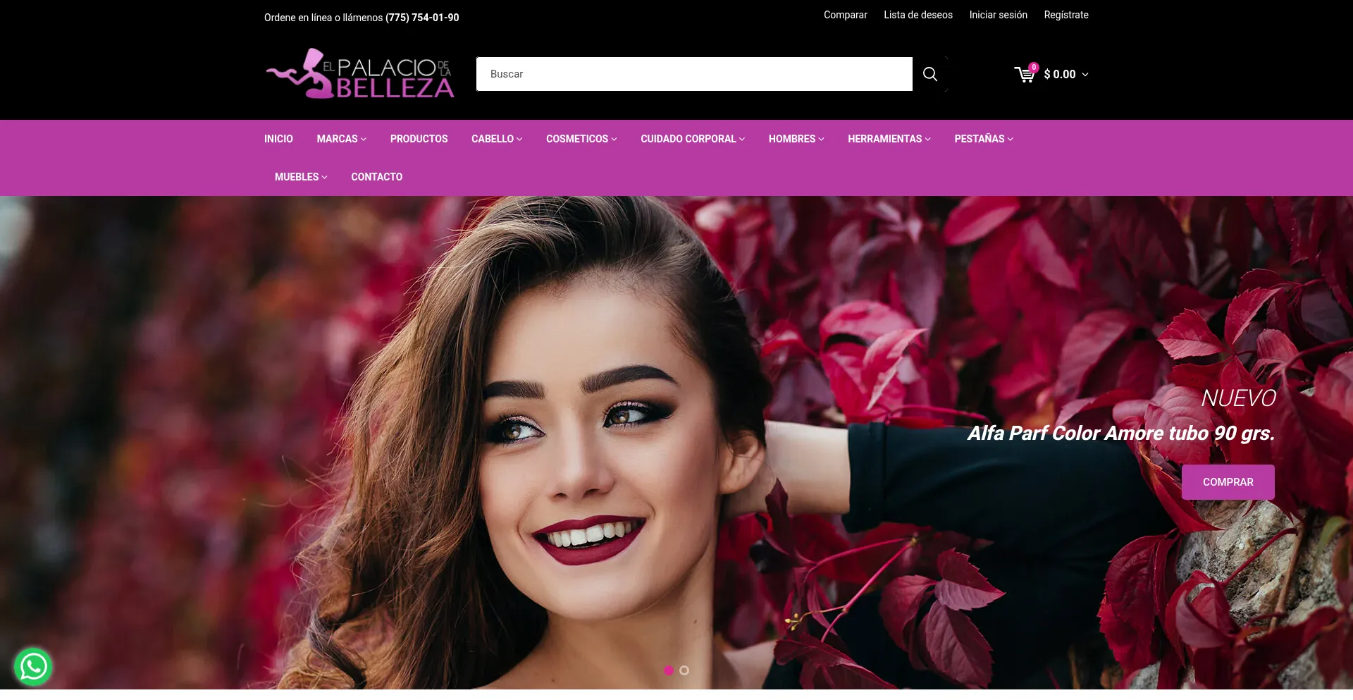 Elpalaciodelabelleza.com.mx Screenshot