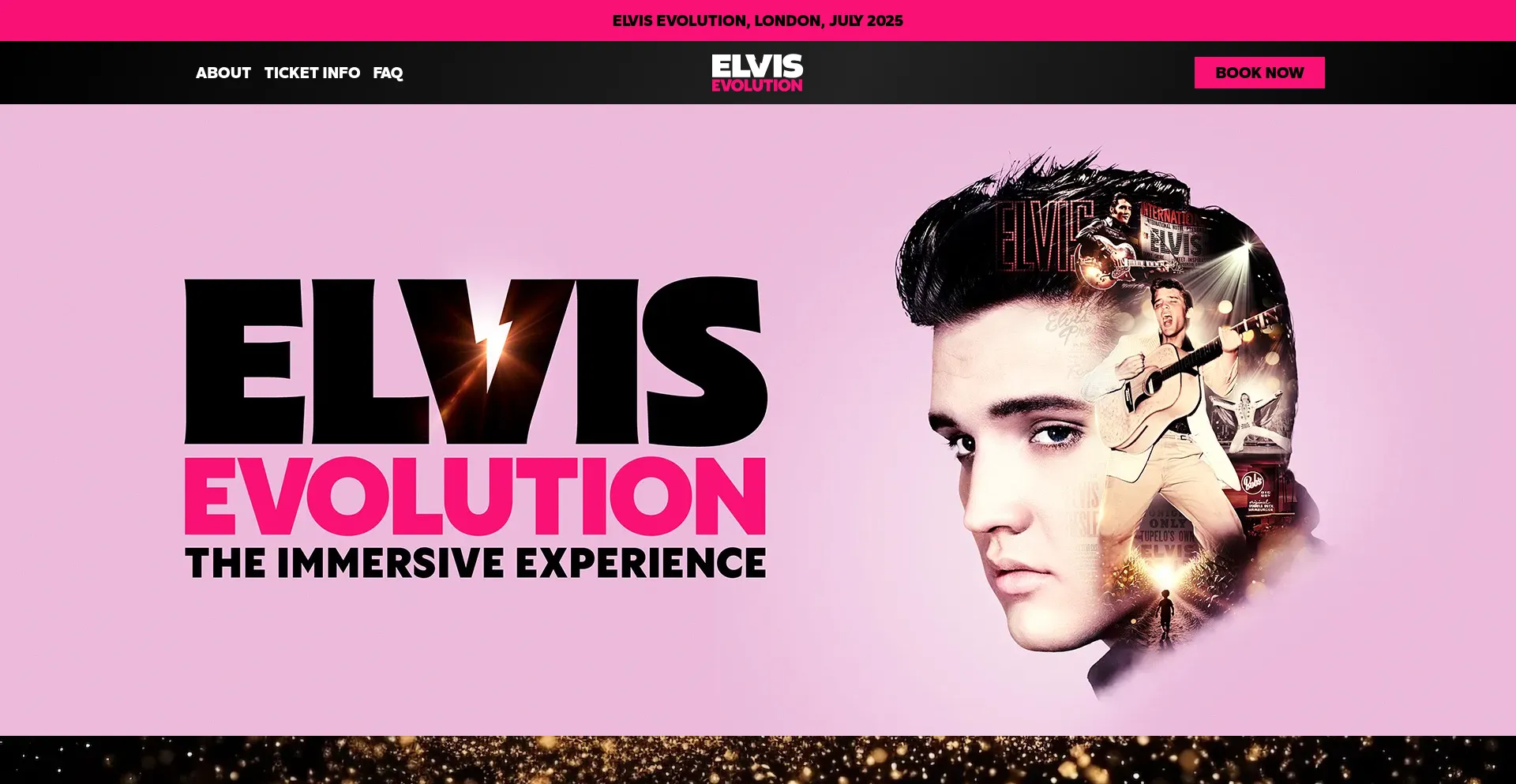 Elvisevolution.com Screenshot