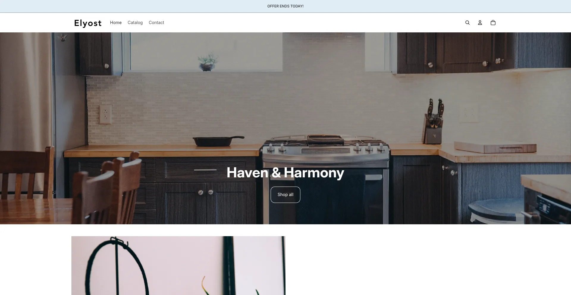 Website screenshot of Elyostore.com