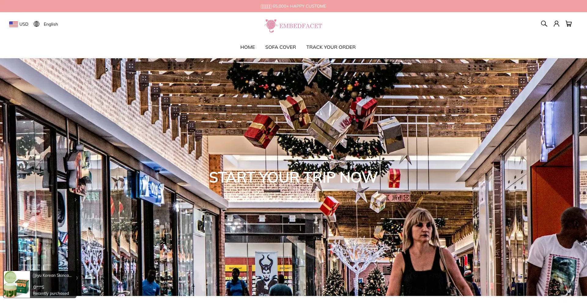 Website screenshot of Embedfacet.com