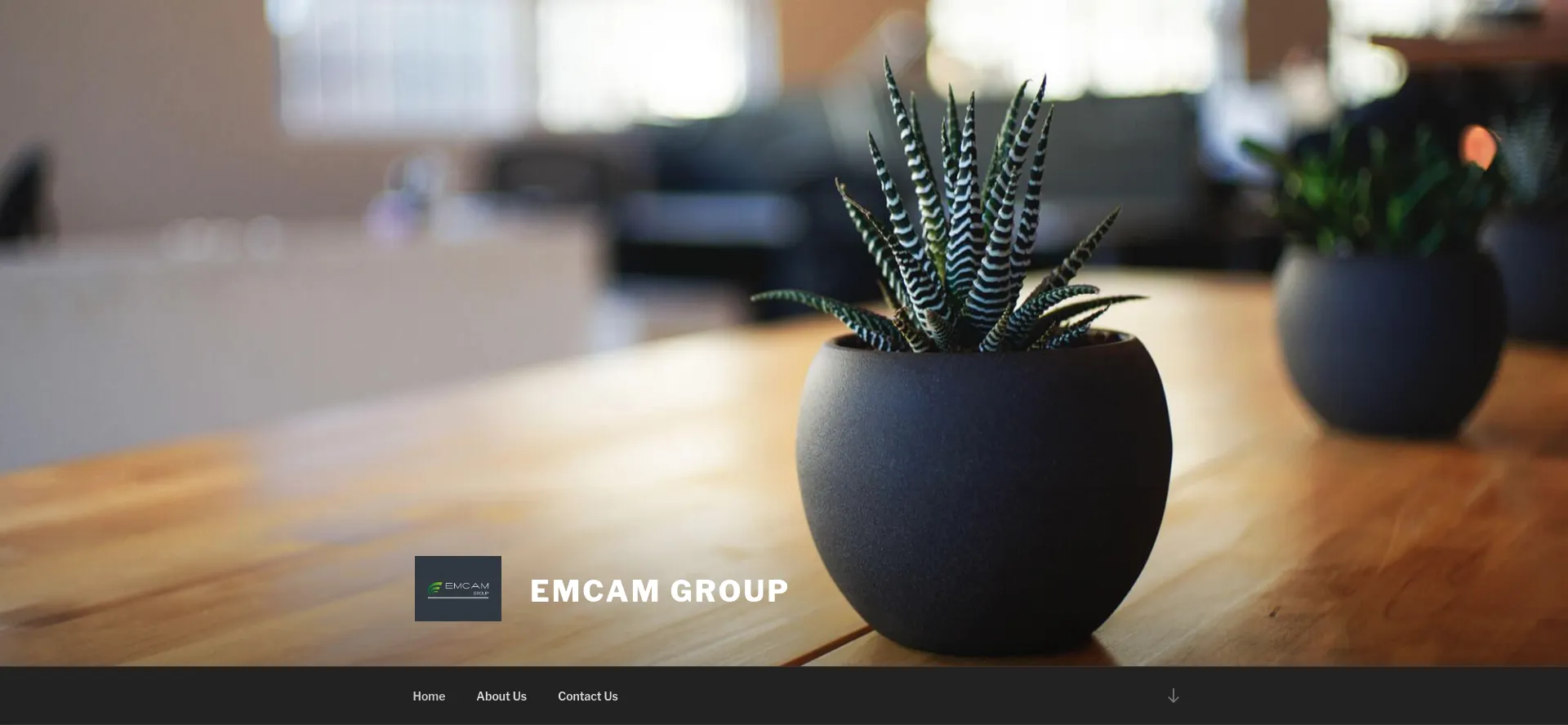 Emcamgroup.com