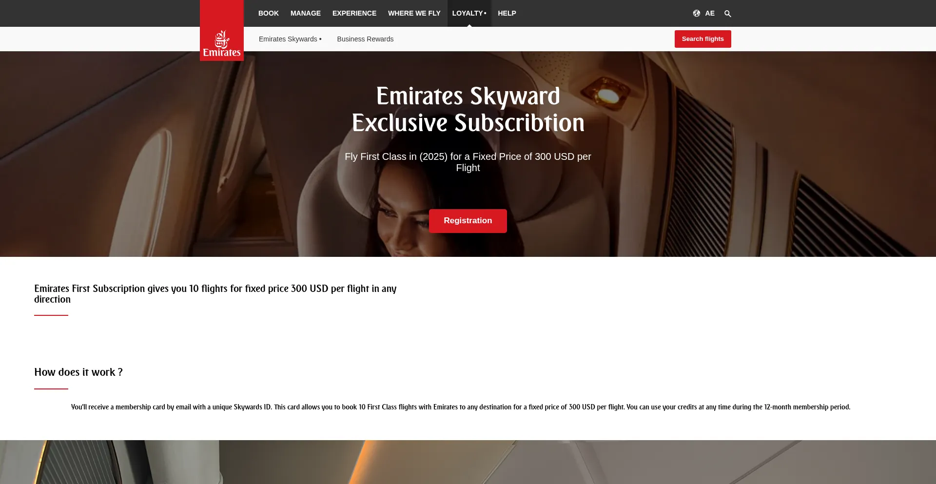 Website screenshot of Emirates-skypartner.cc
