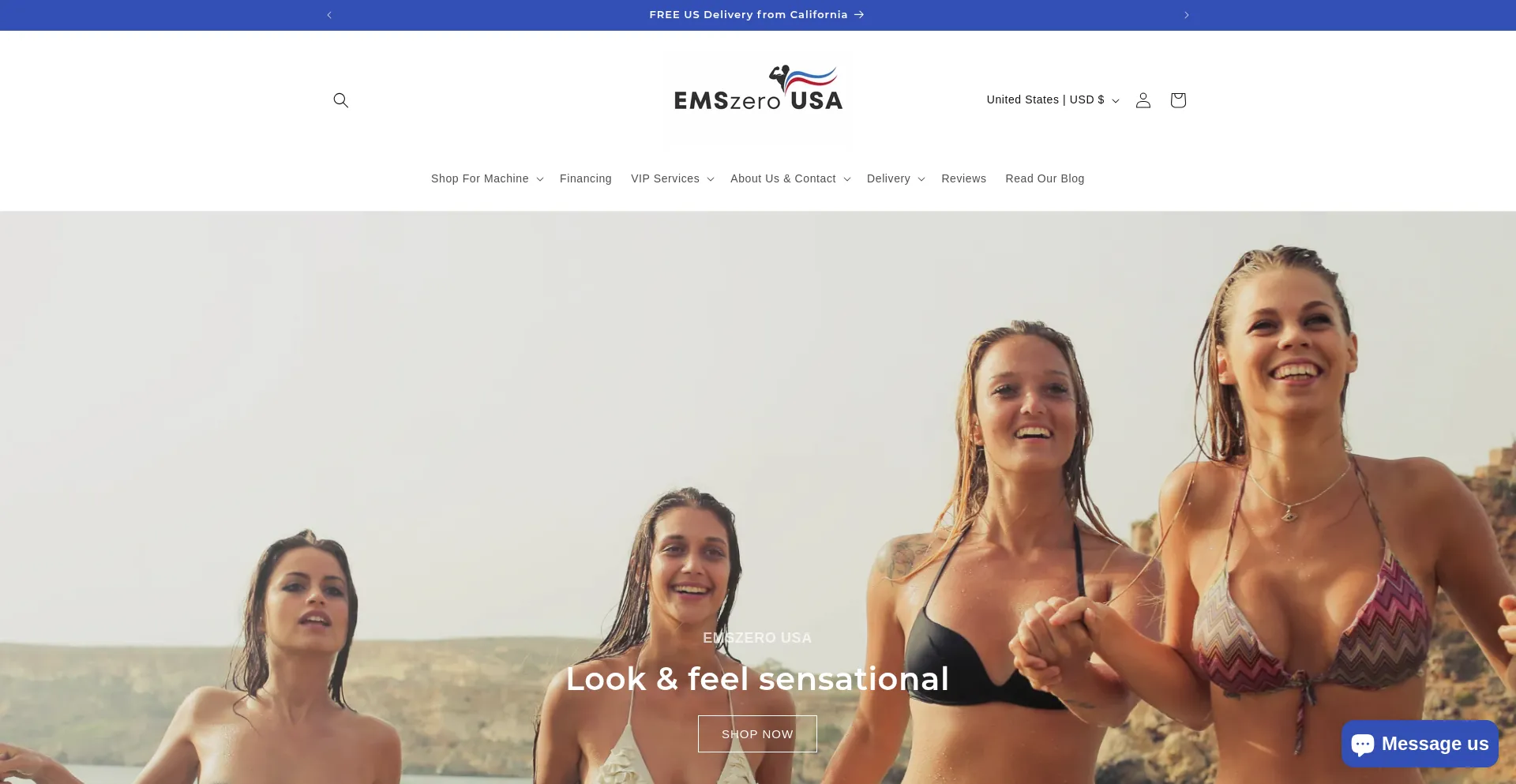 Website screenshot of Emszero.us