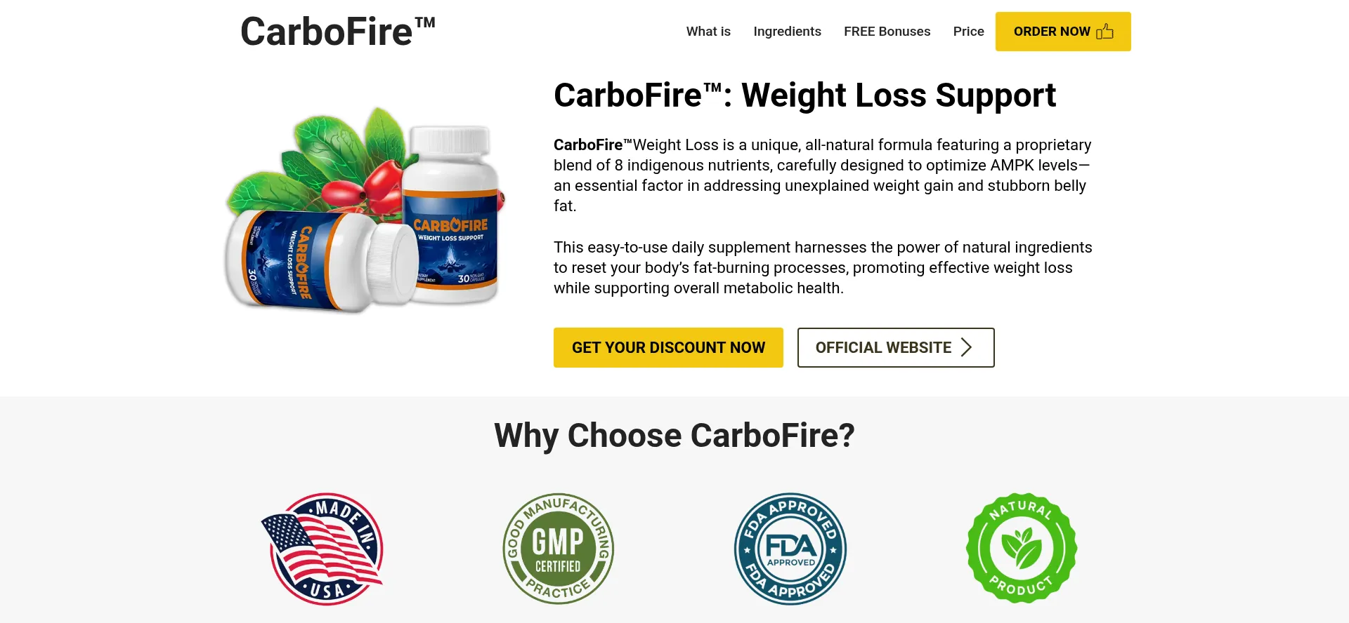 En-en-en-carbofire.com Screenshot