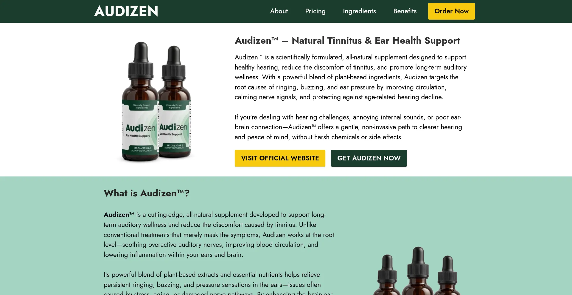 Website screenshot of En-eng-audizen.com