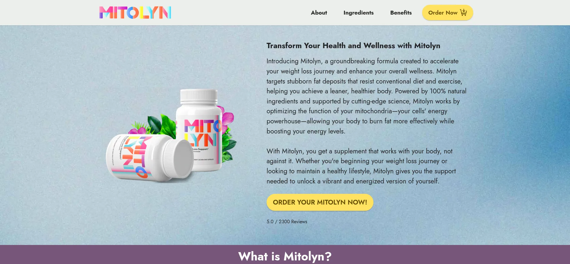 Website screenshot of En-mitoliyn.us
