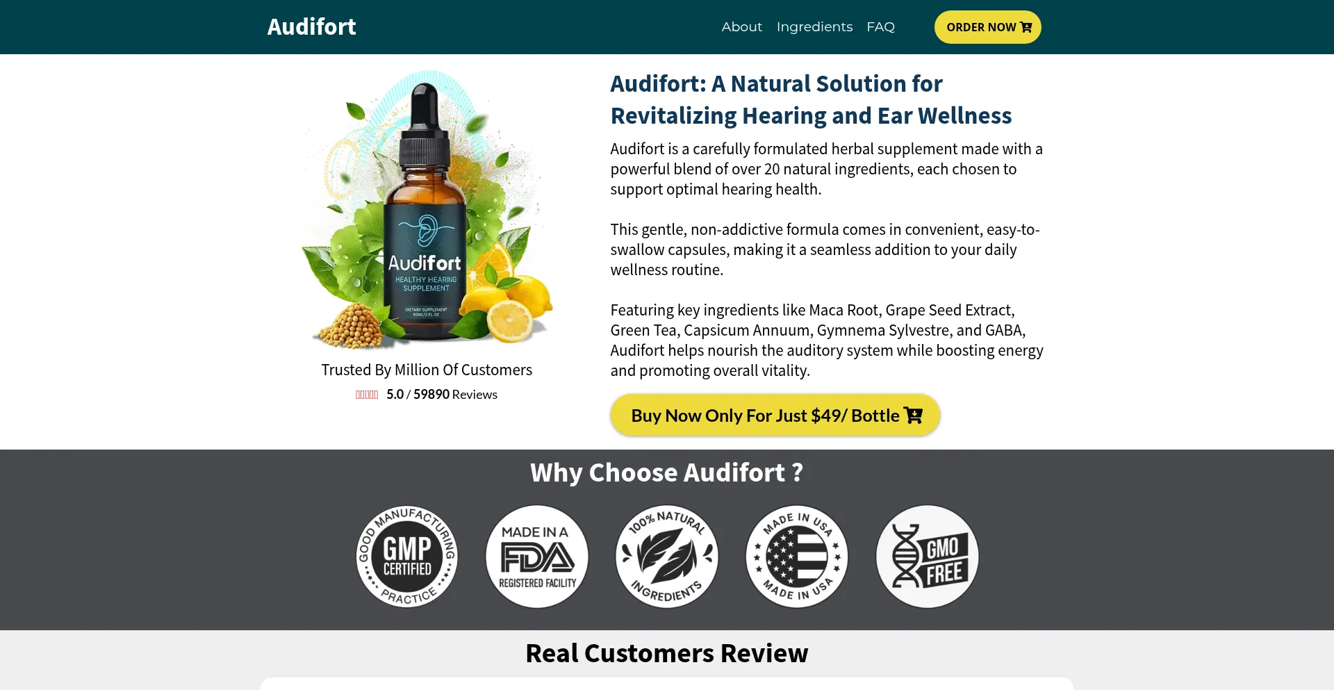 Website screenshot of En-us--audifort.us