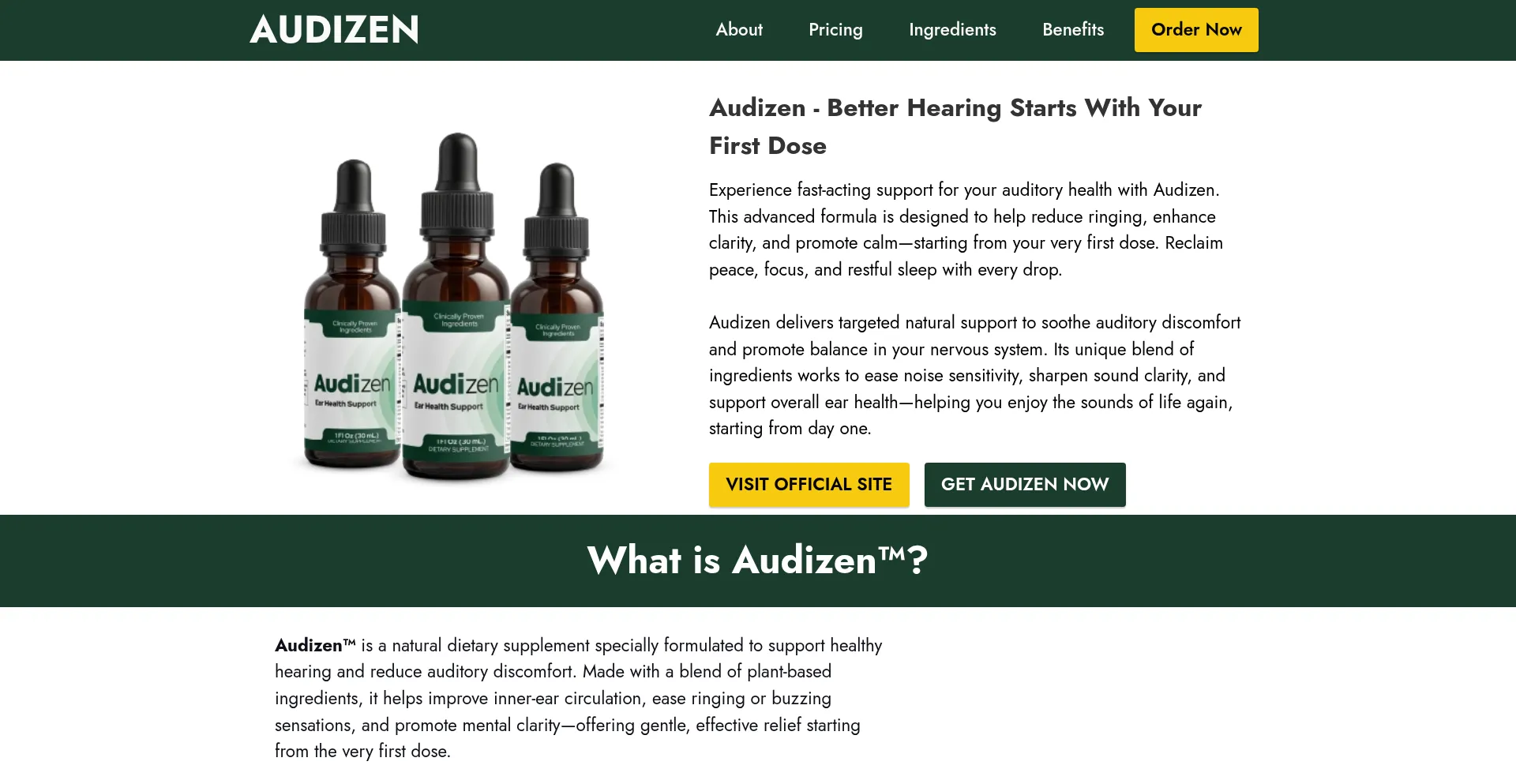 Website screenshot of En-us-audi-zen.com