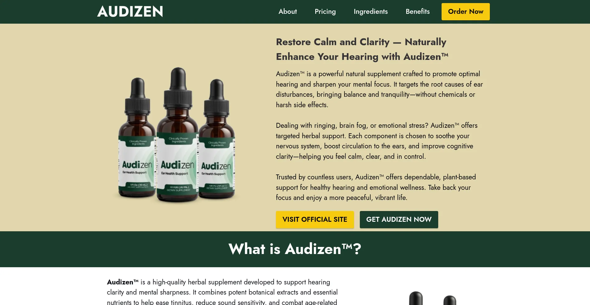 Website screenshot of En-us-audizen.us