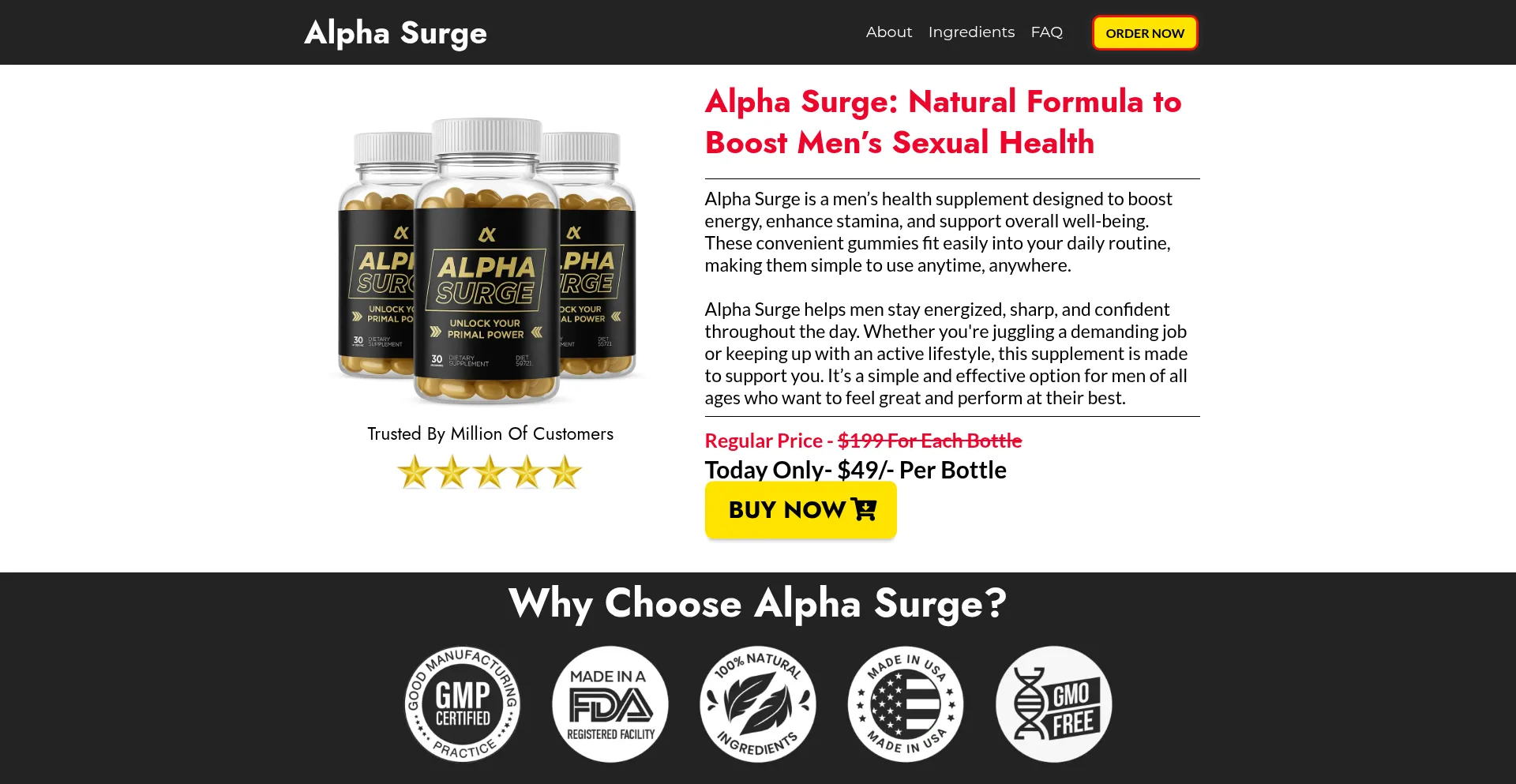 Website screenshot of En-us-en--alphasurge.com