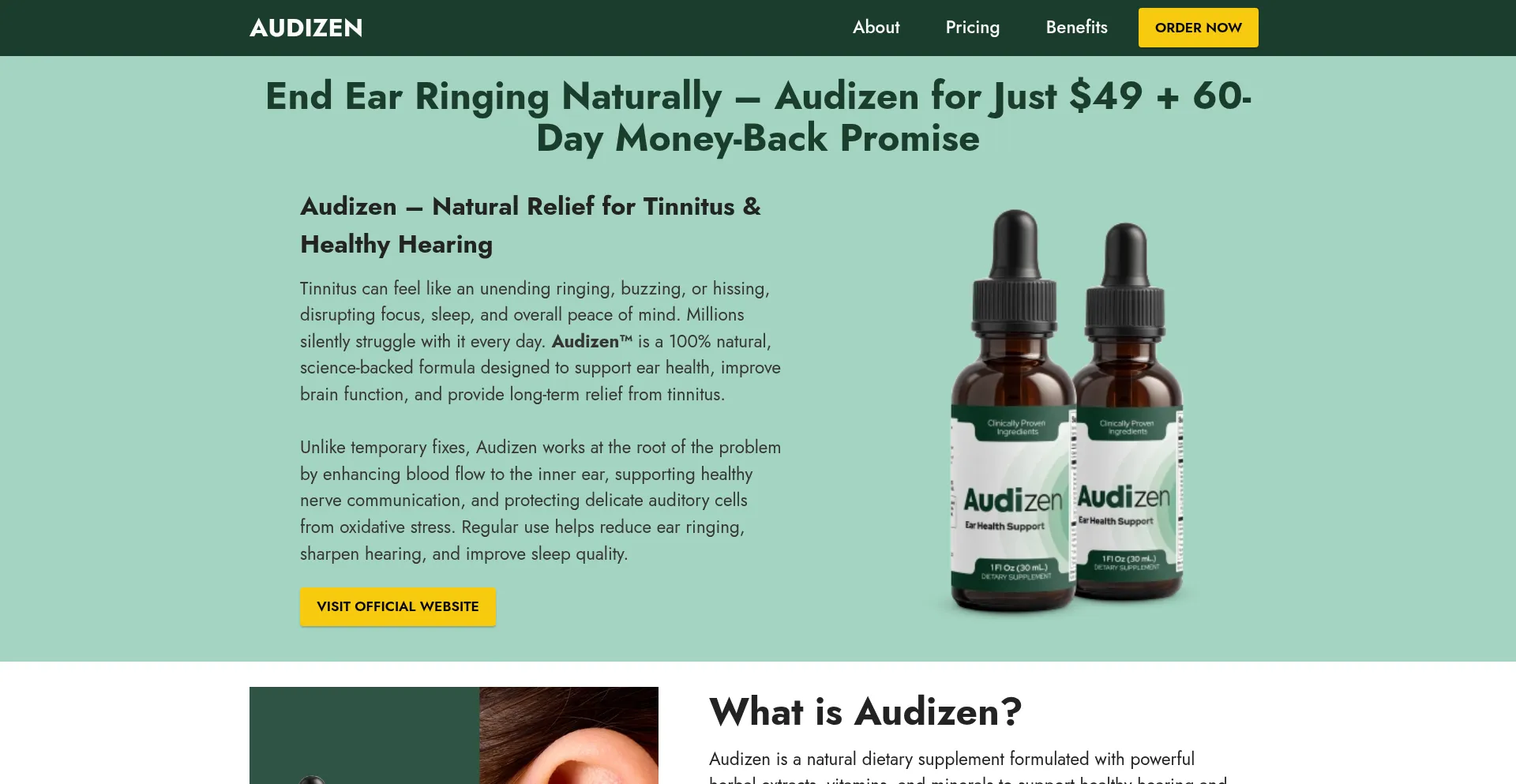En-us-odizen.com