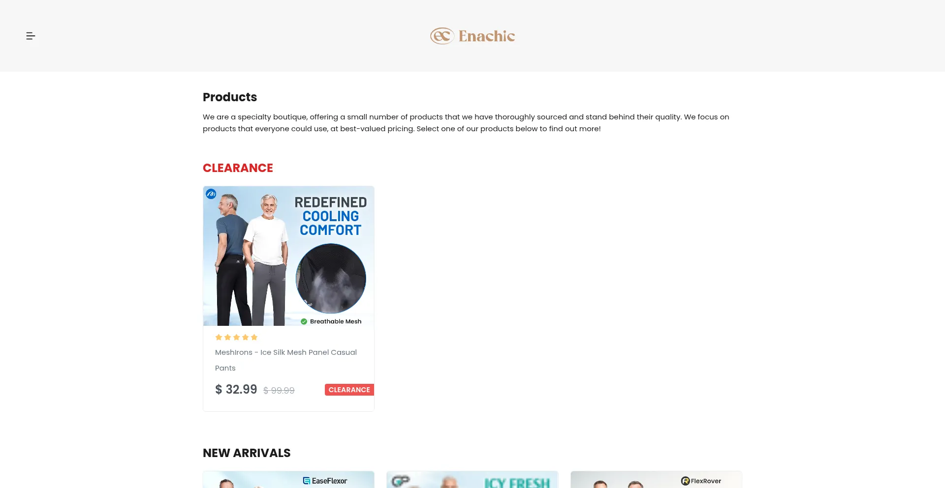 Website screenshot of Enachic.com
