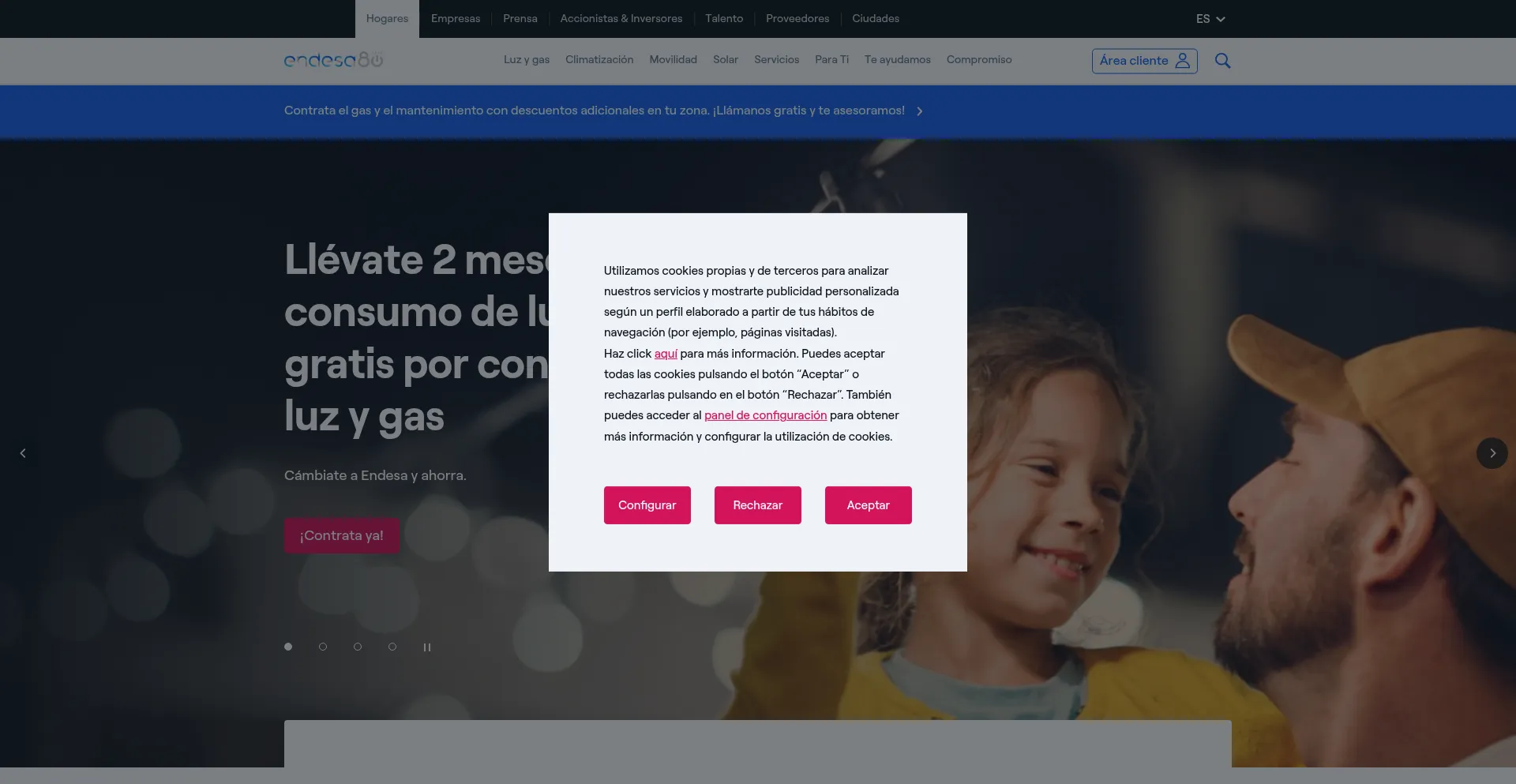 Website screenshot of Endesa.com