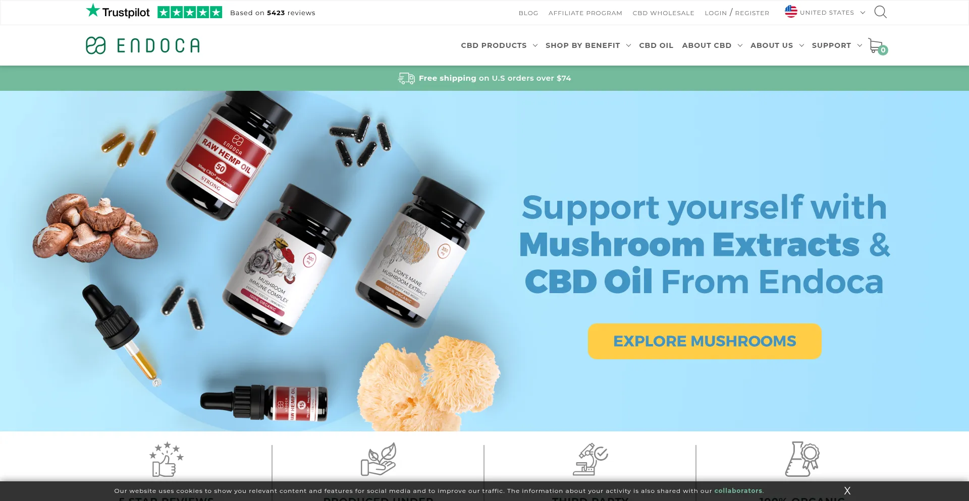 Website screenshot of Endoca.com