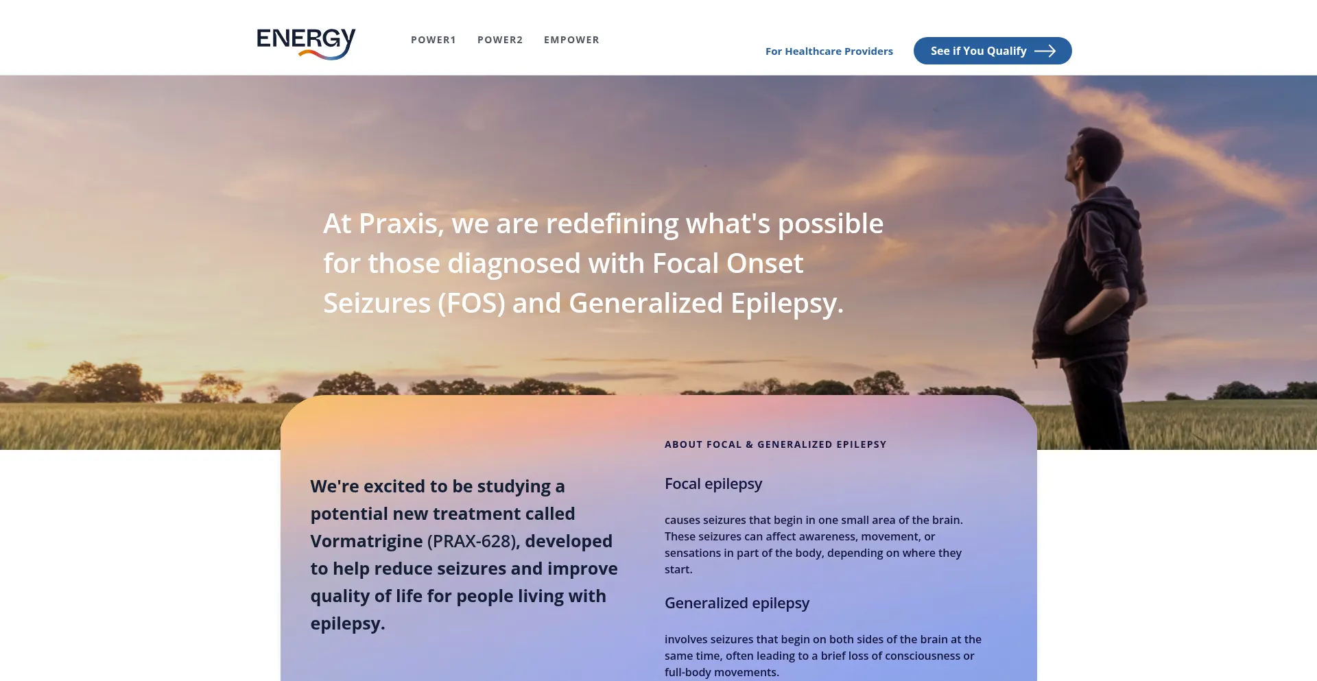 Energyepilepsystudies.com