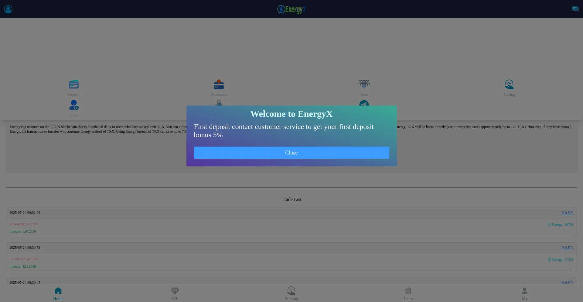 Website screenshot of Energyx.it.com