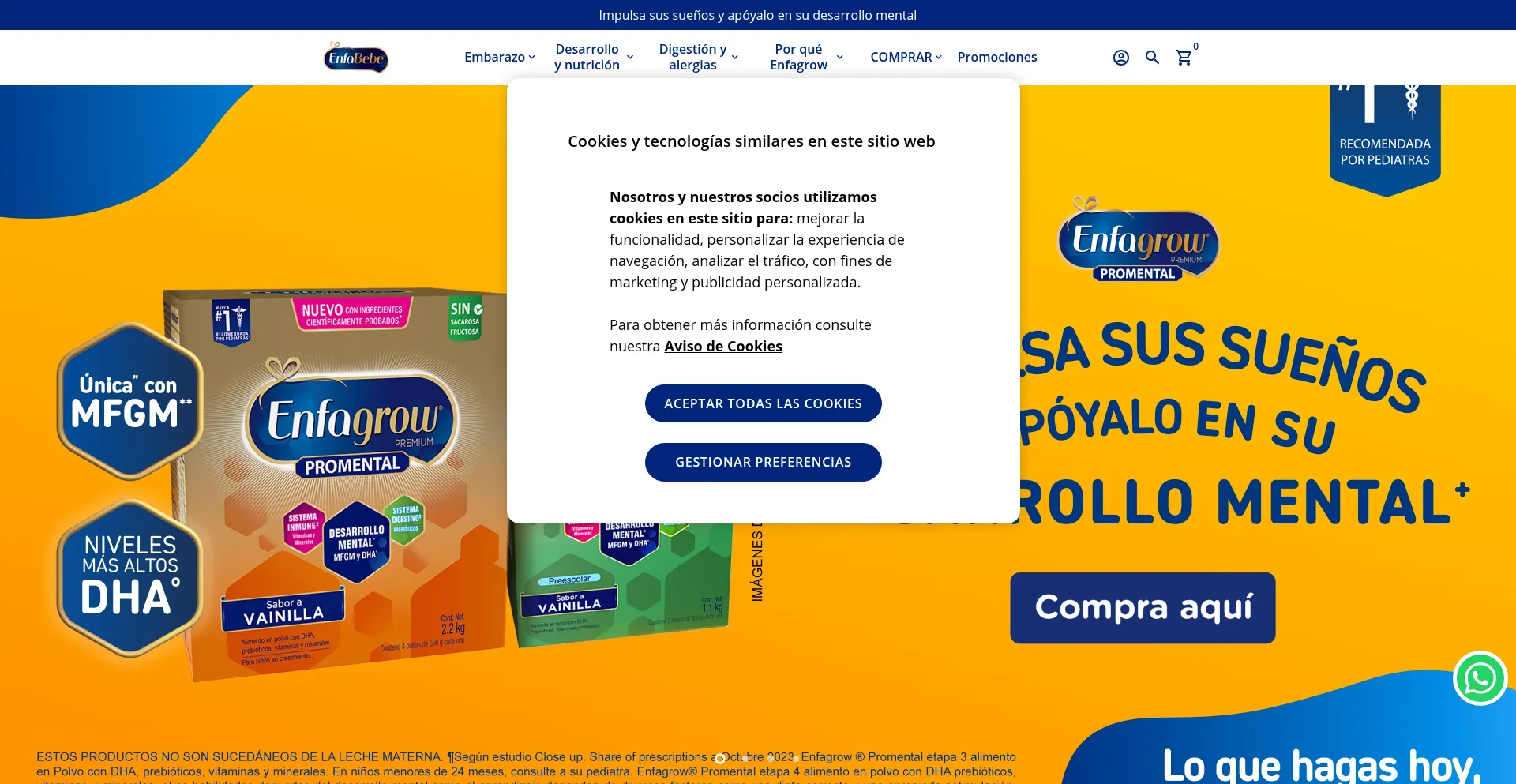 Website screenshot of Enfabebe.pe