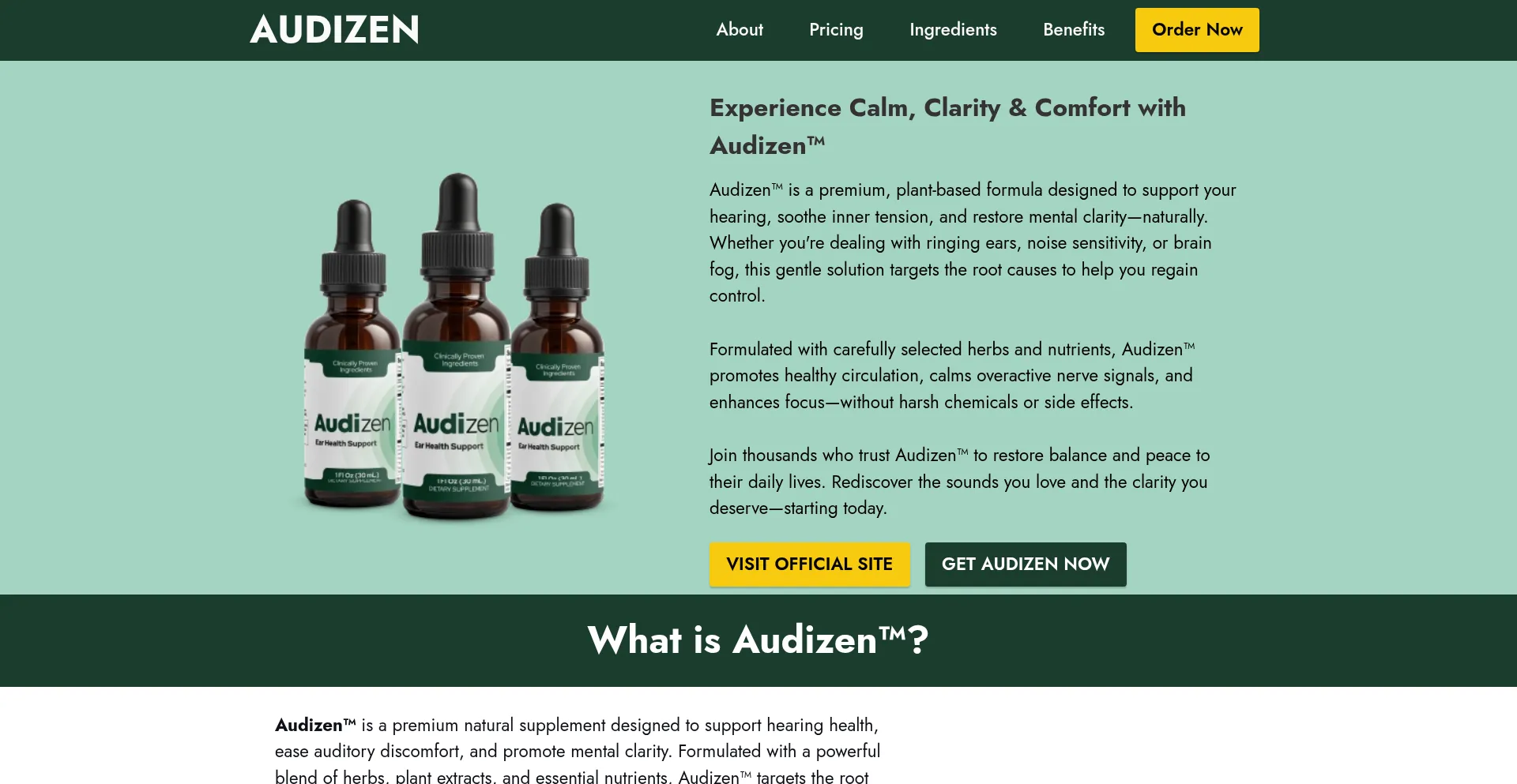 Website screenshot of Eng--audizen.com