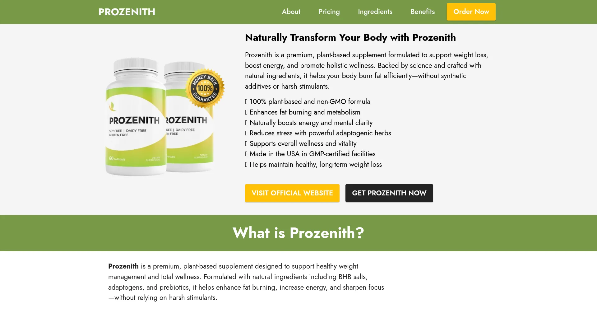 Website screenshot of Eng--prozenith.com