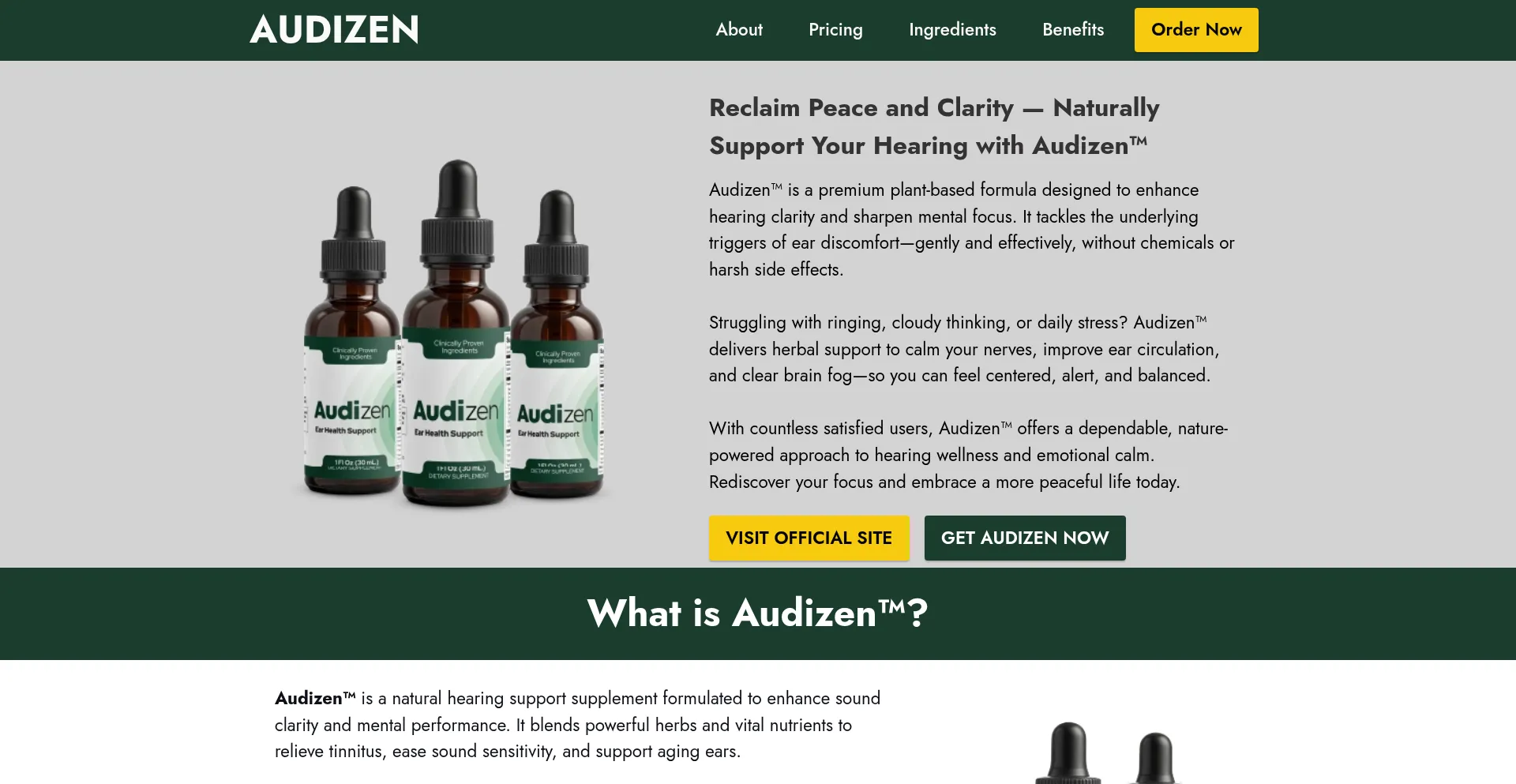 Website screenshot of Eng-audizen-us.com