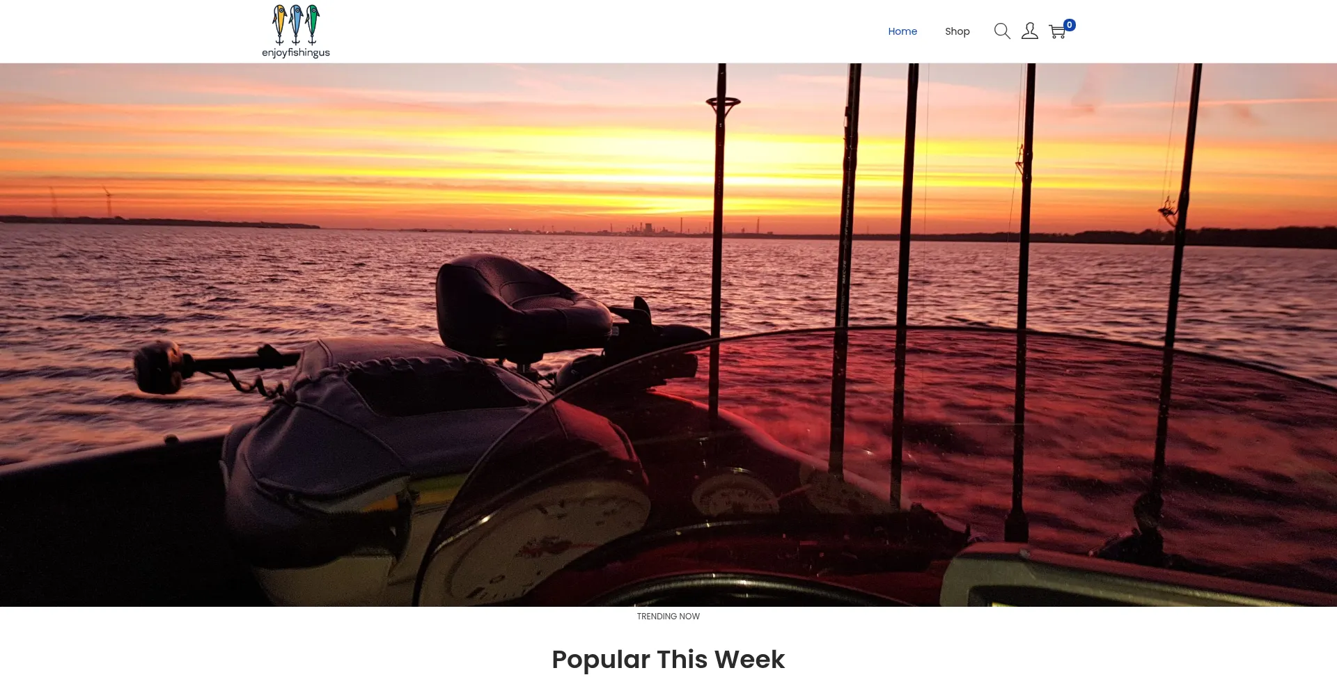 Website screenshot of Enjoyfishingus.com
