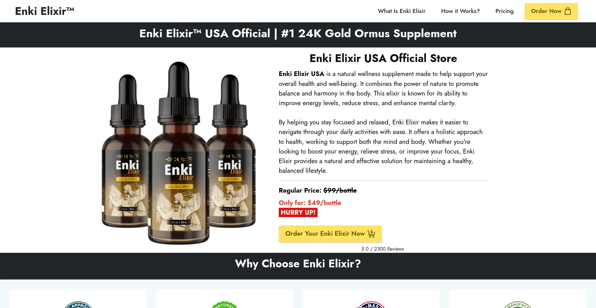 Website screenshot of Enki--elixir.us