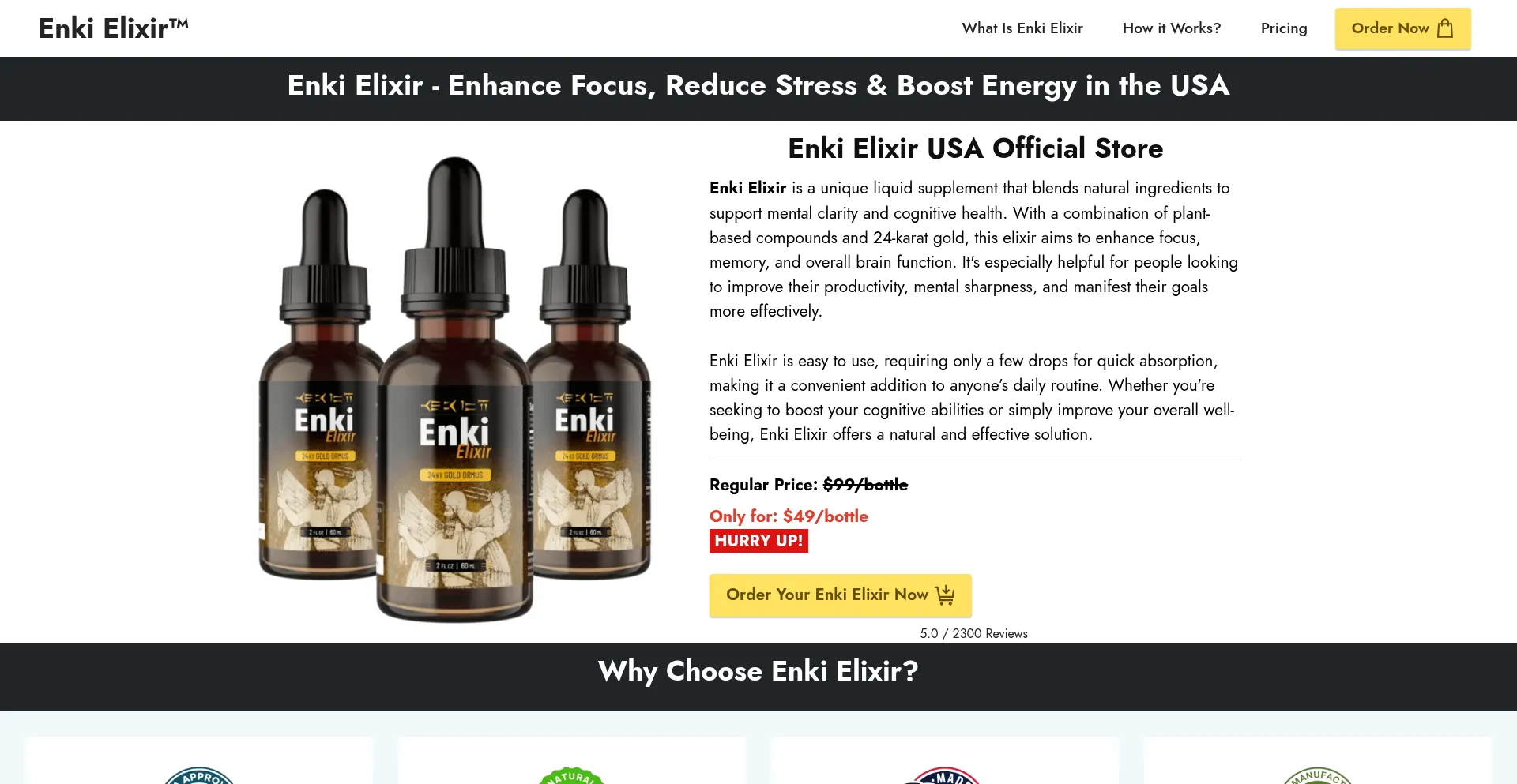 Website screenshot of Enki-elixir.us