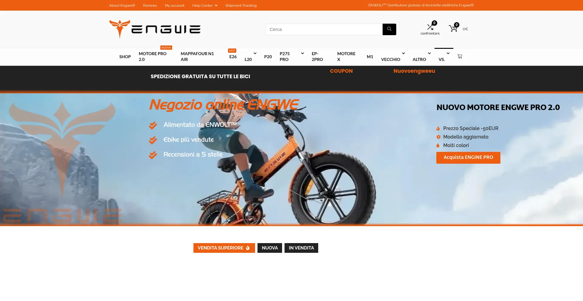 Website screenshot of Enwolt.it