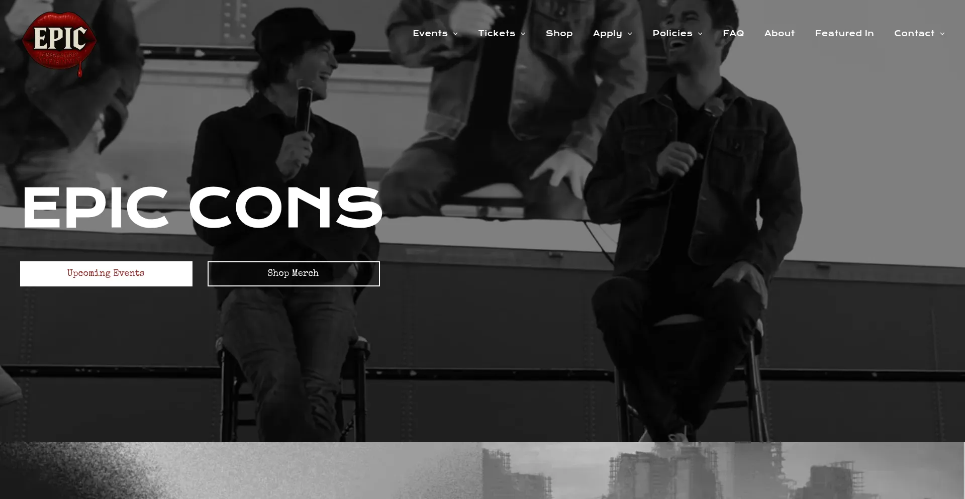 Website screenshot of Epiccons.com