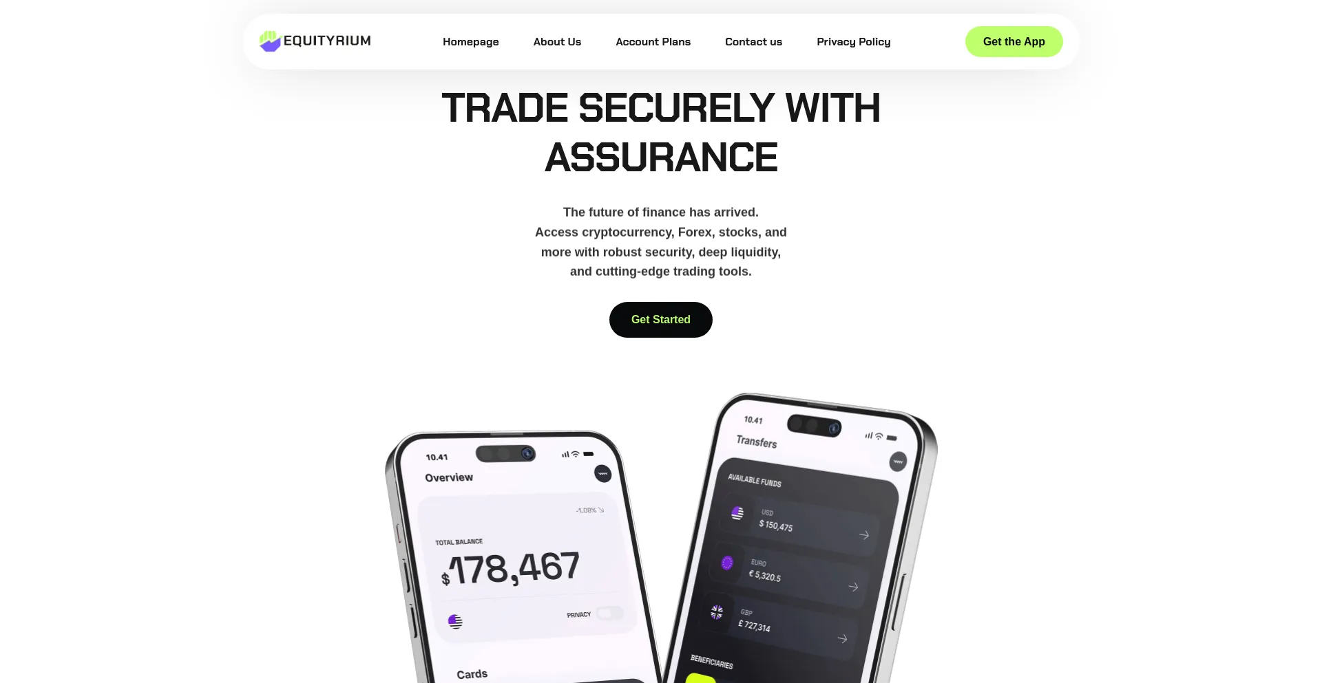 Website screenshot of Equityrium.com