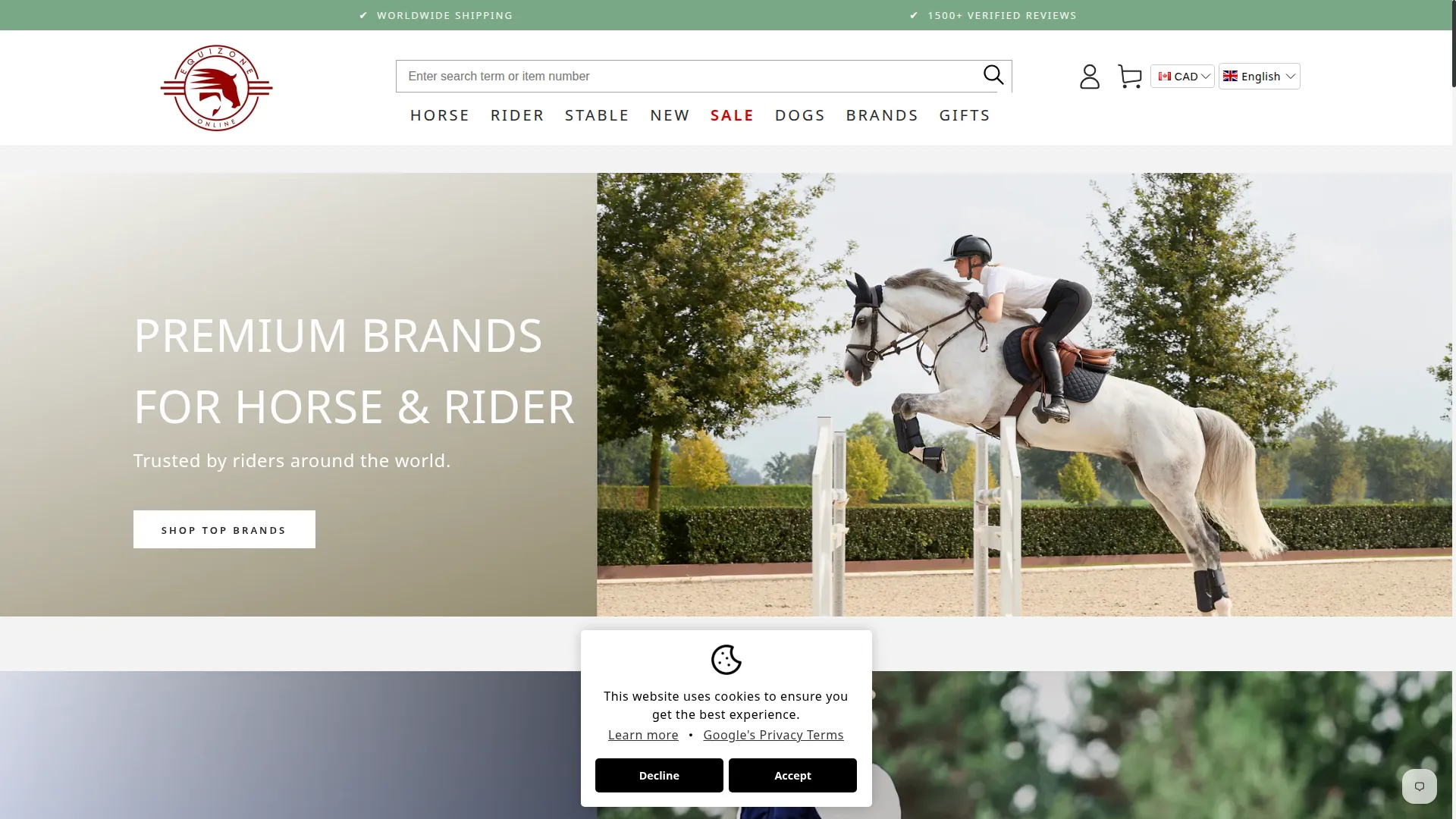 Equizoneonline.com